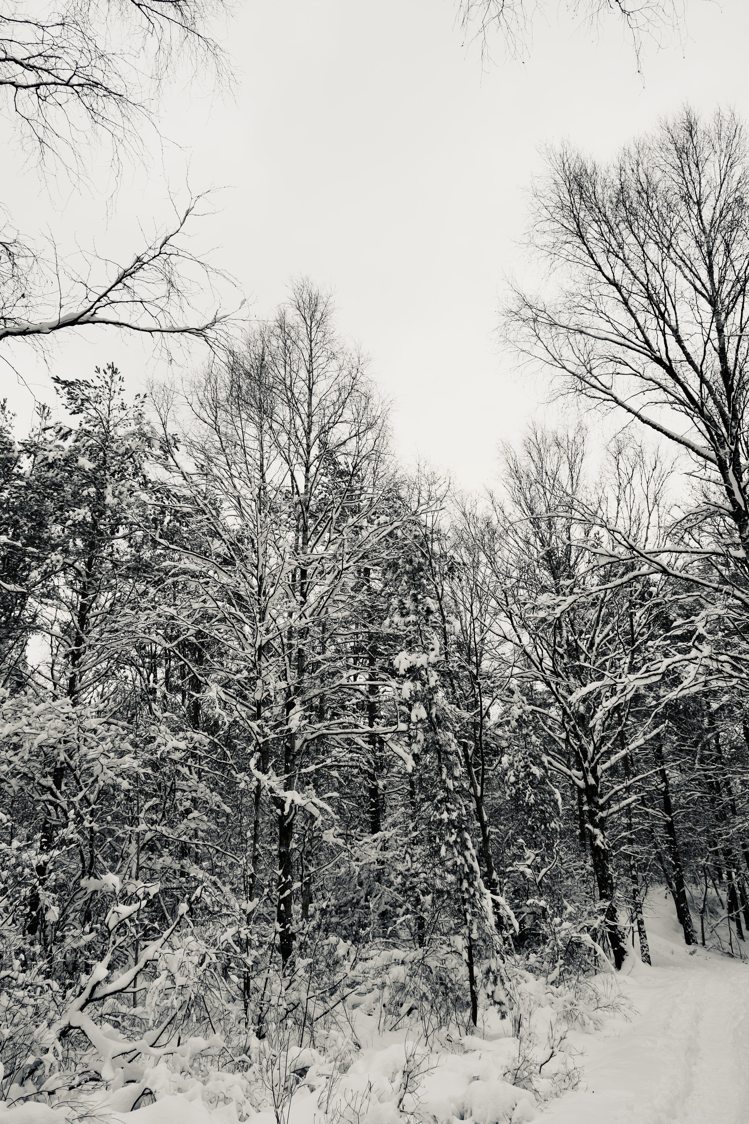 DSCF6675.jpg