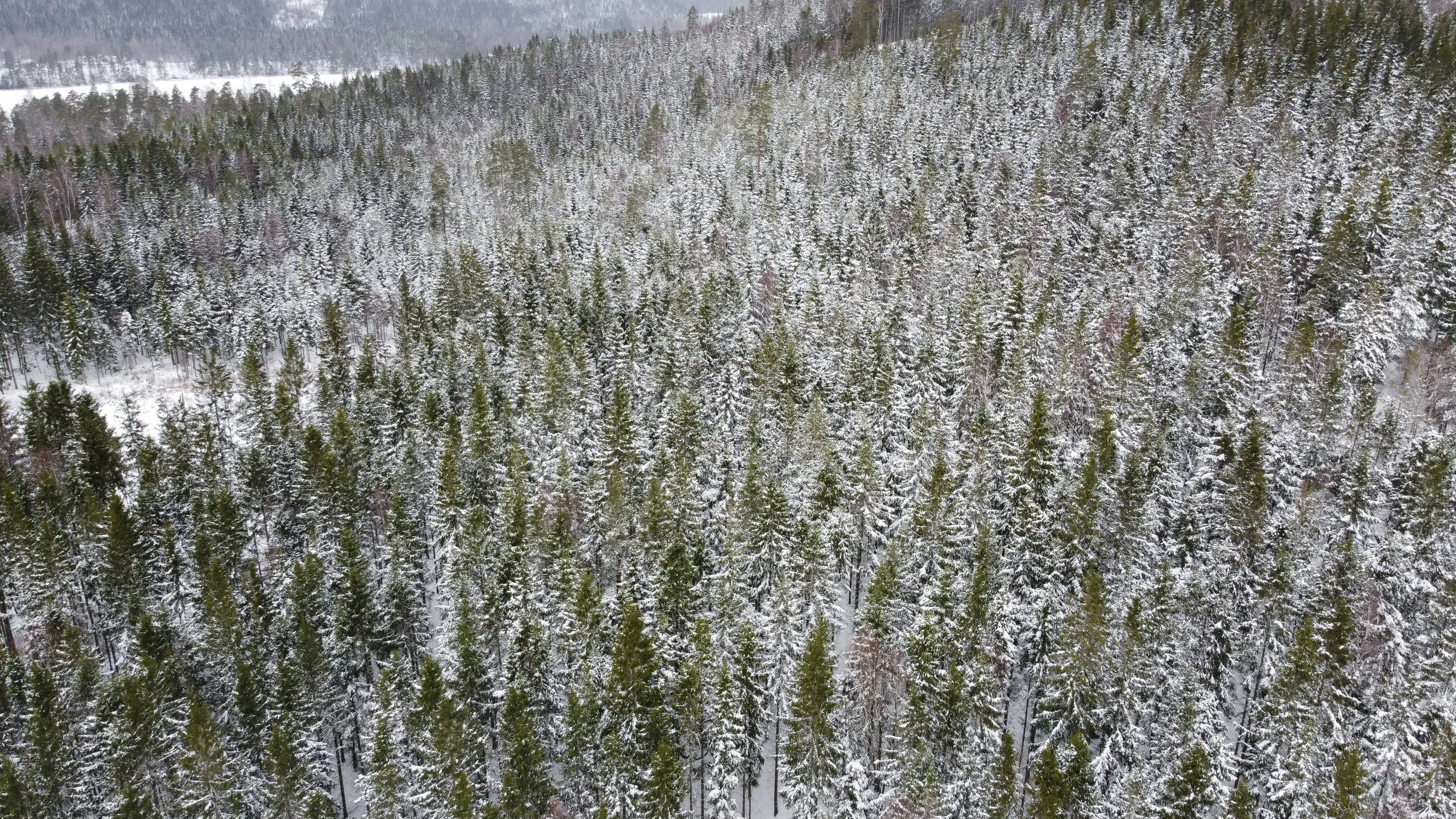 DJI_0286.jpg