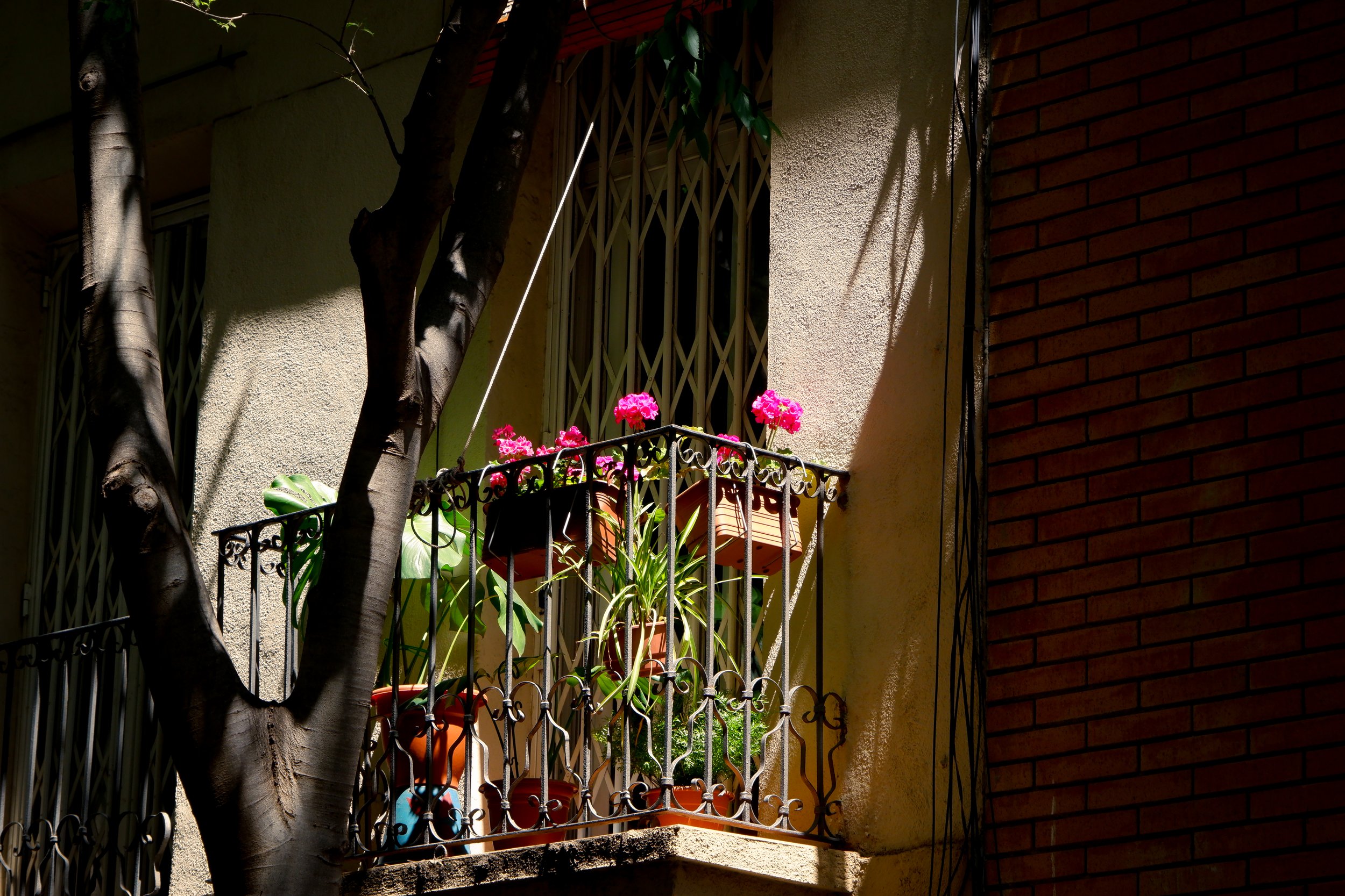 DSCF2855.jpg