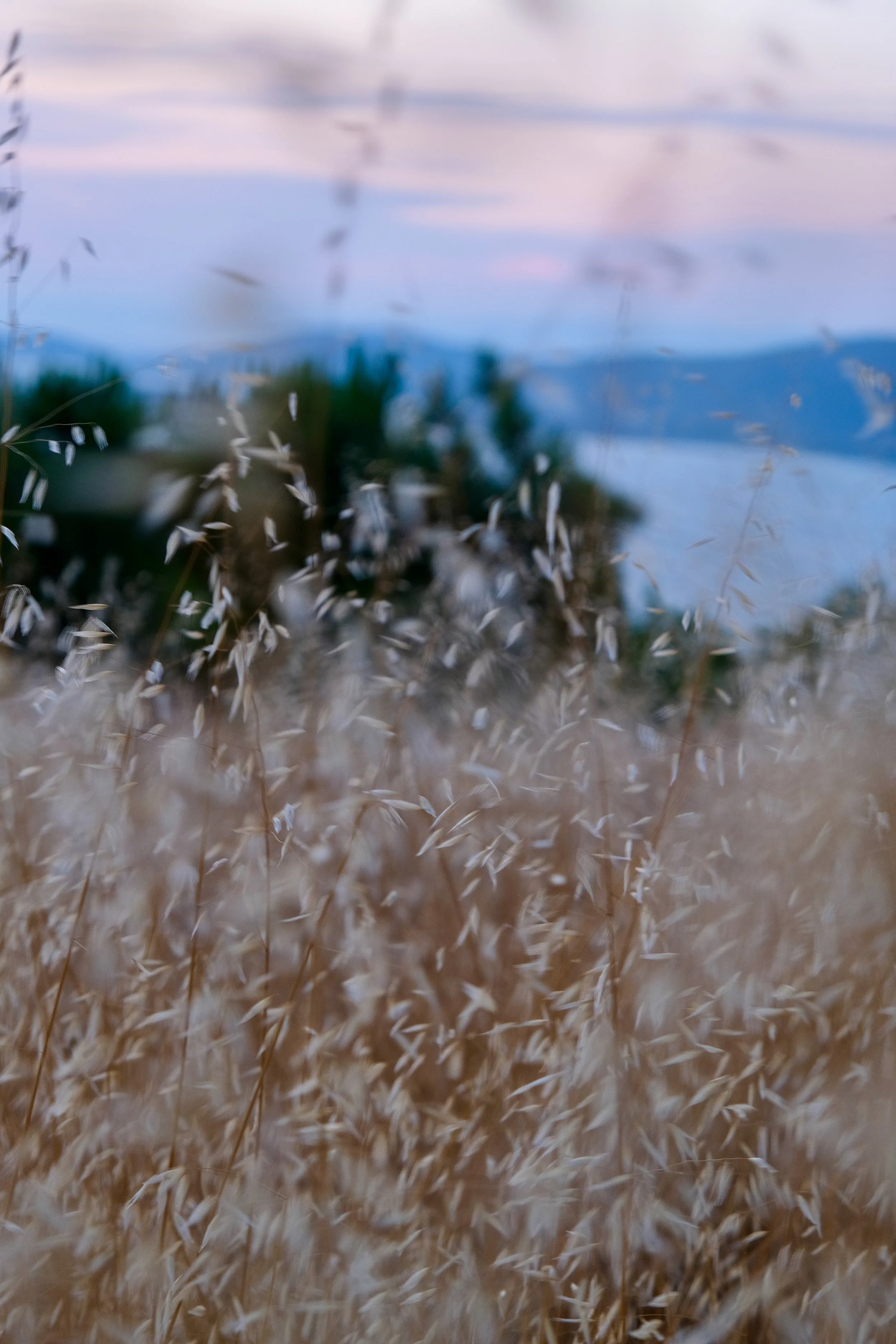 DSCF9737.jpg