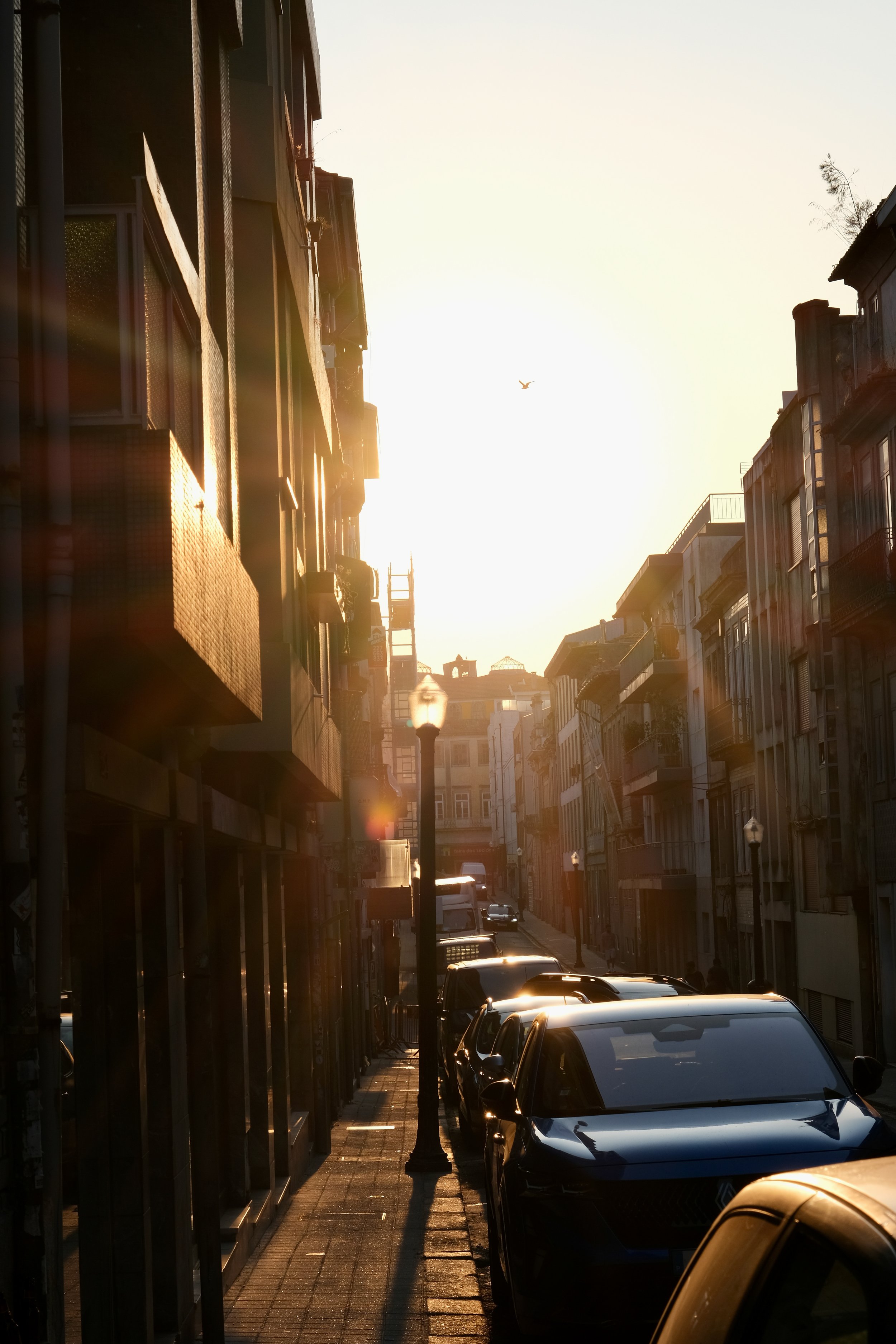 DSCF1531.jpg