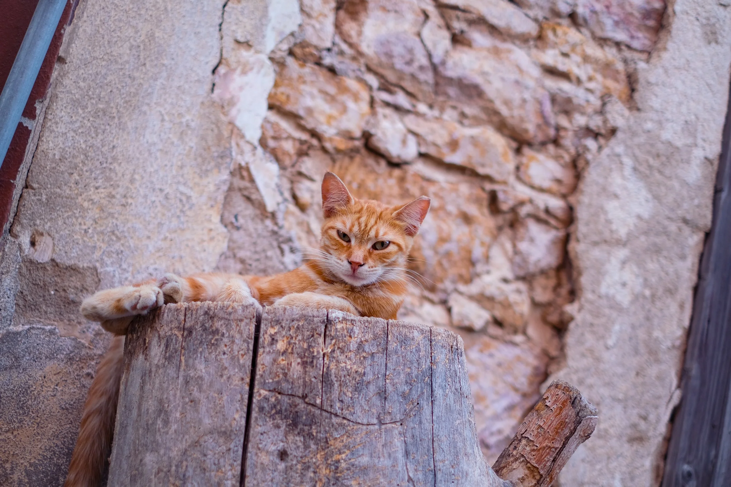 Untitled-092.jpg