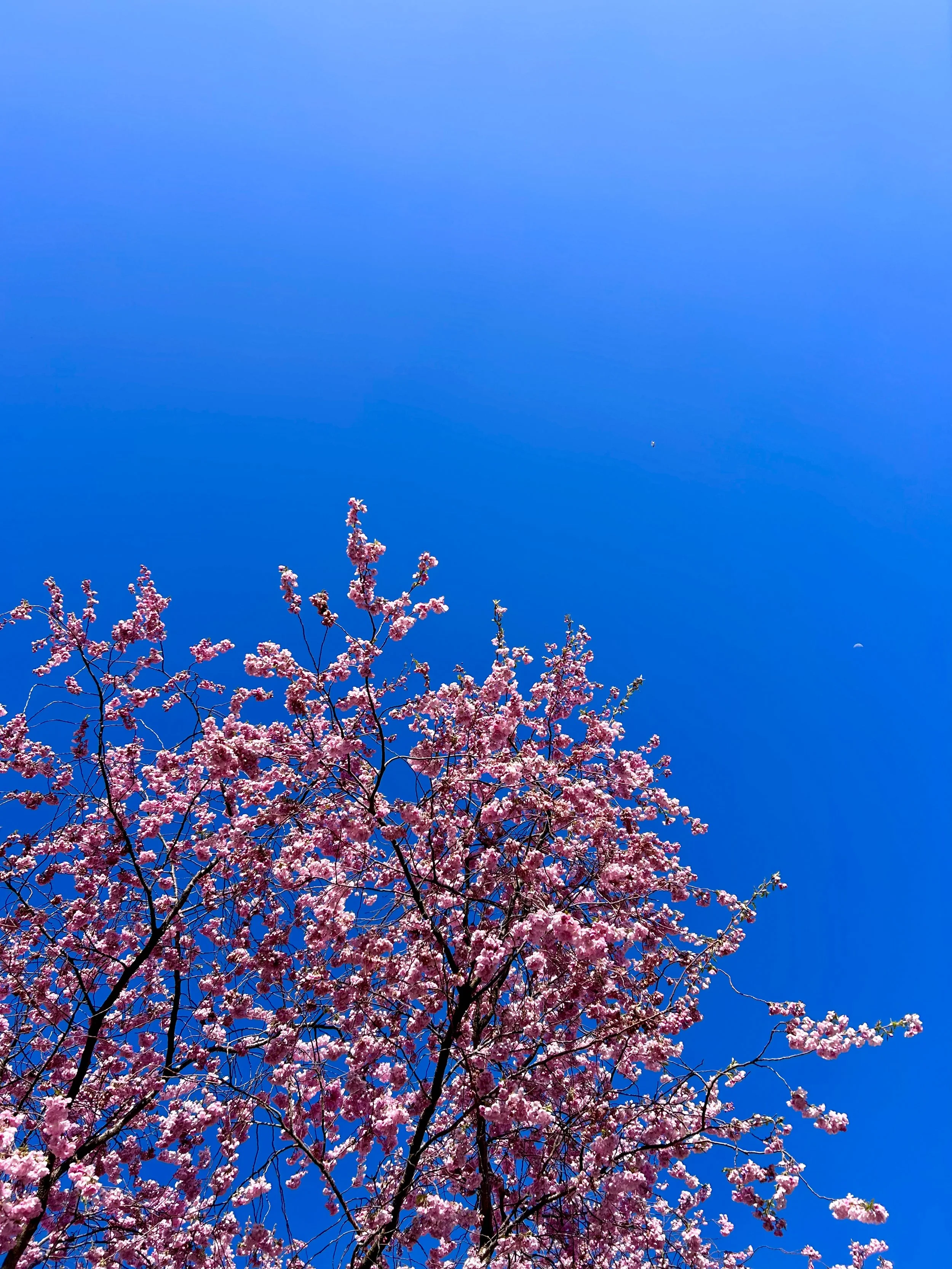 Untitled-125.jpg