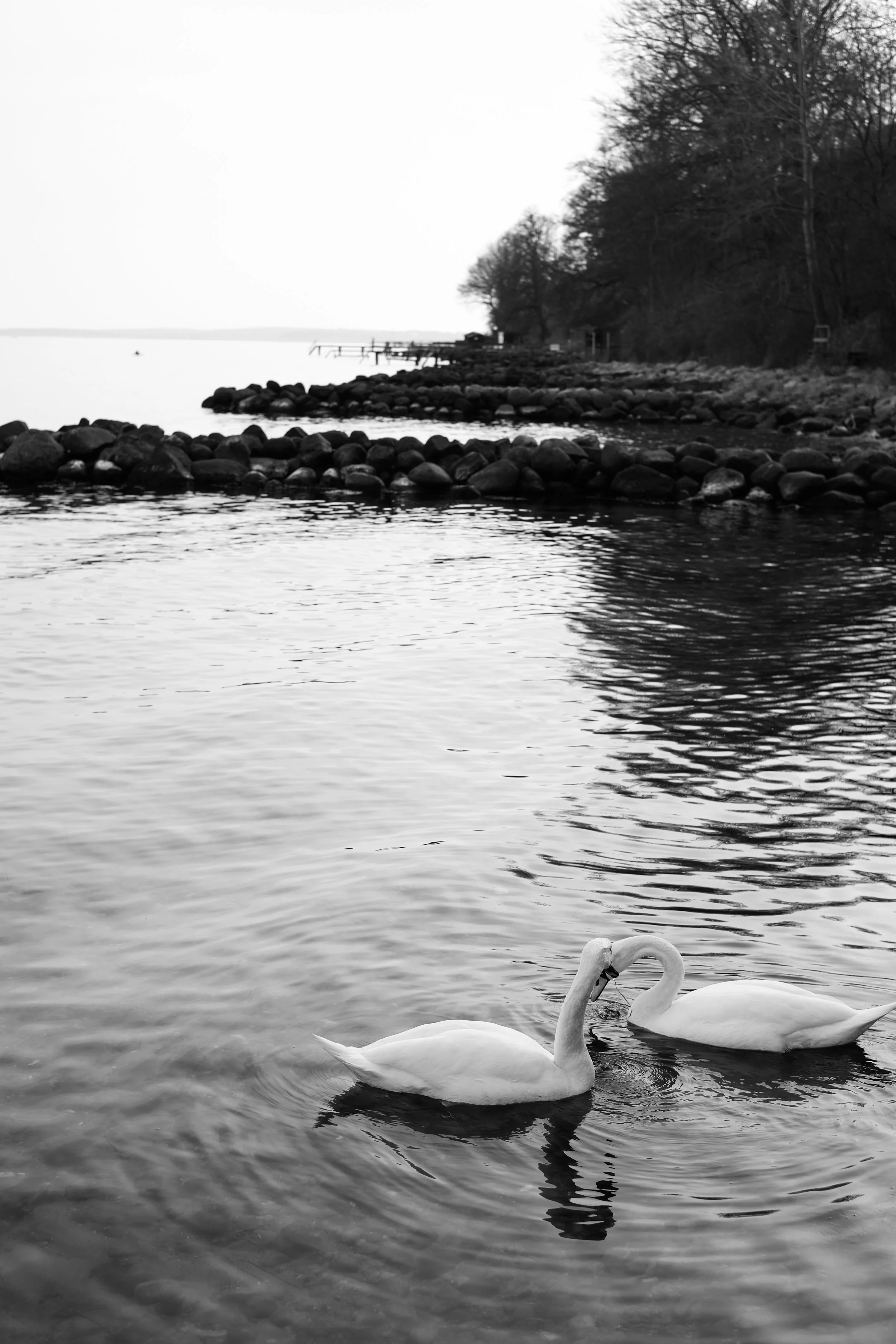Untitled-67.jpg