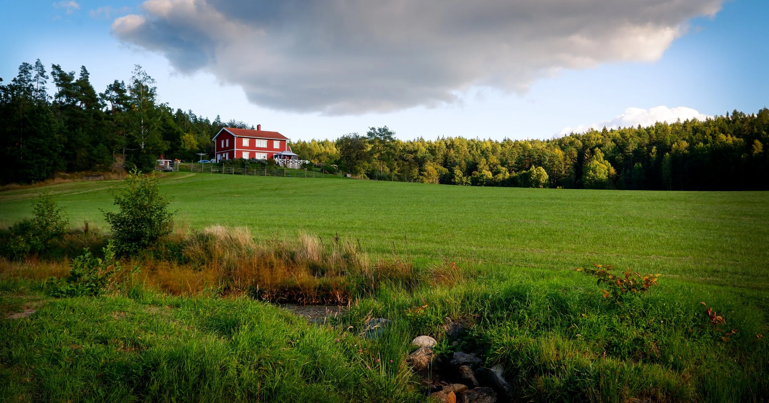 DSCF8095.jpg