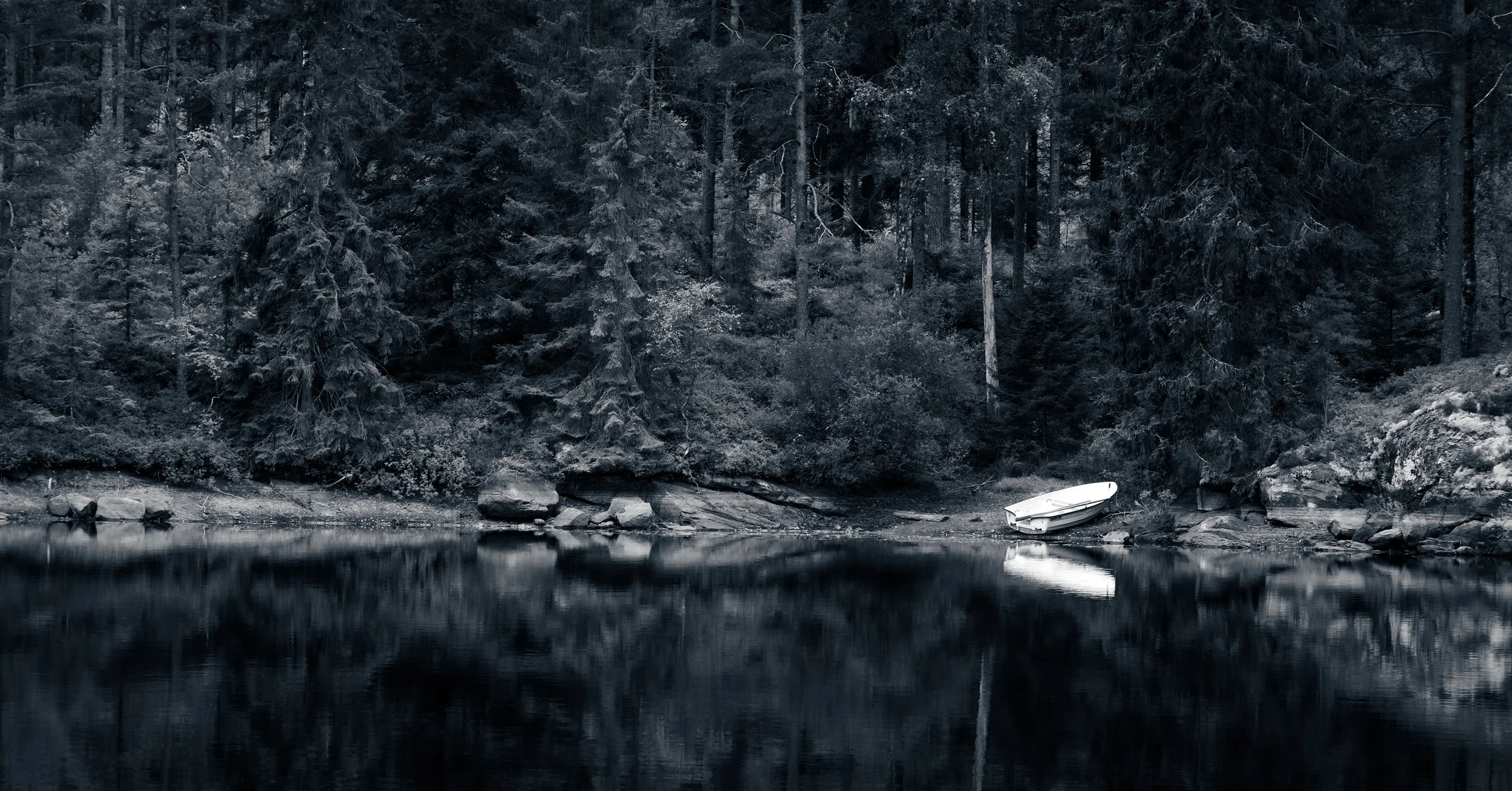 Untitled-3.jpg