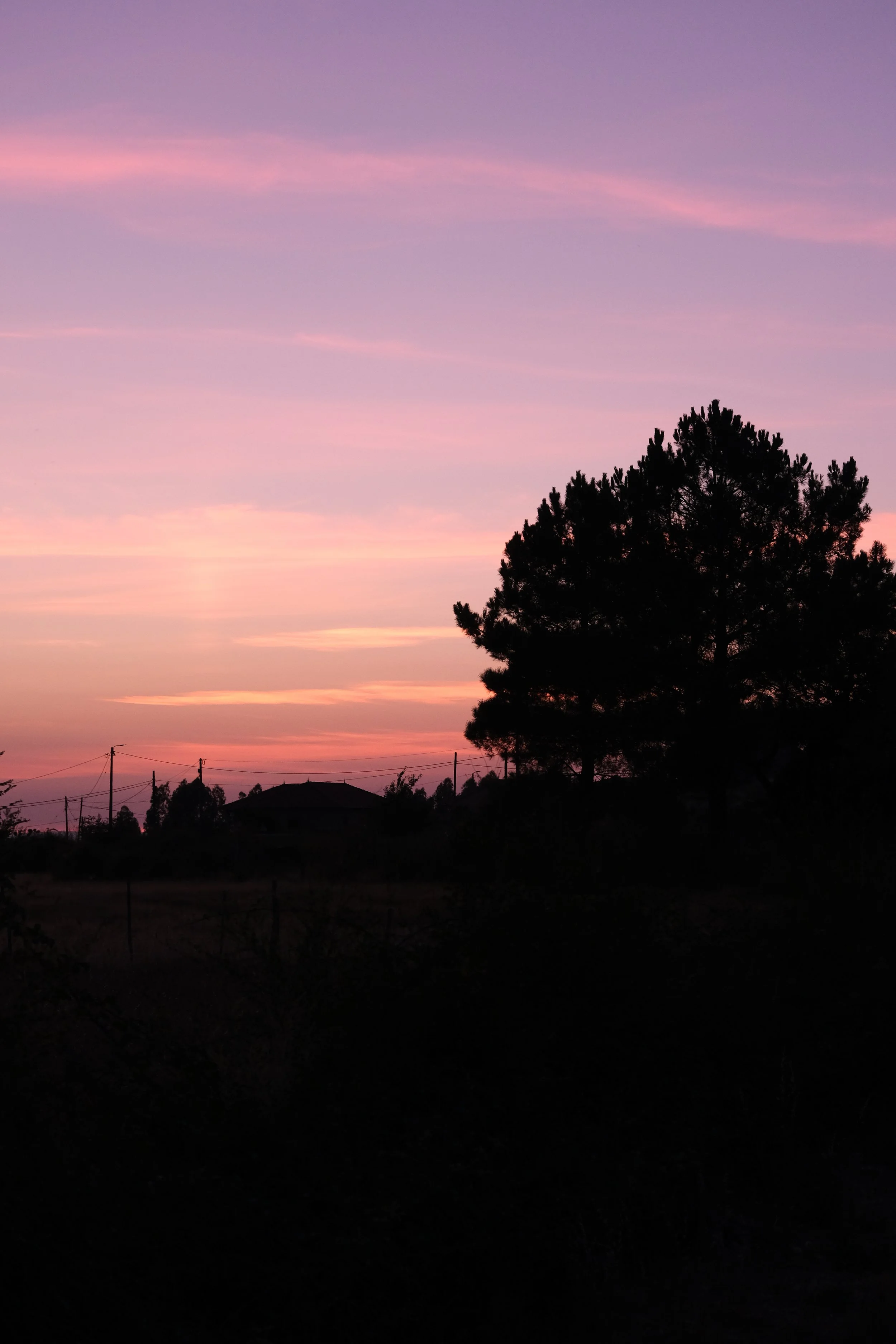 DSCF2072.jpg