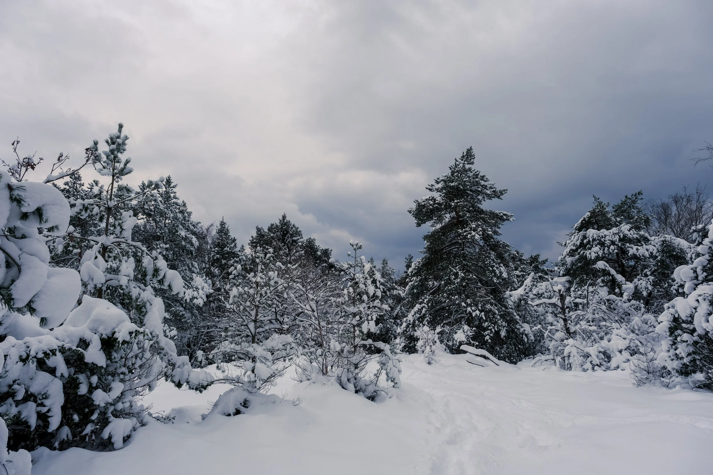 DSCF6637.jpg
