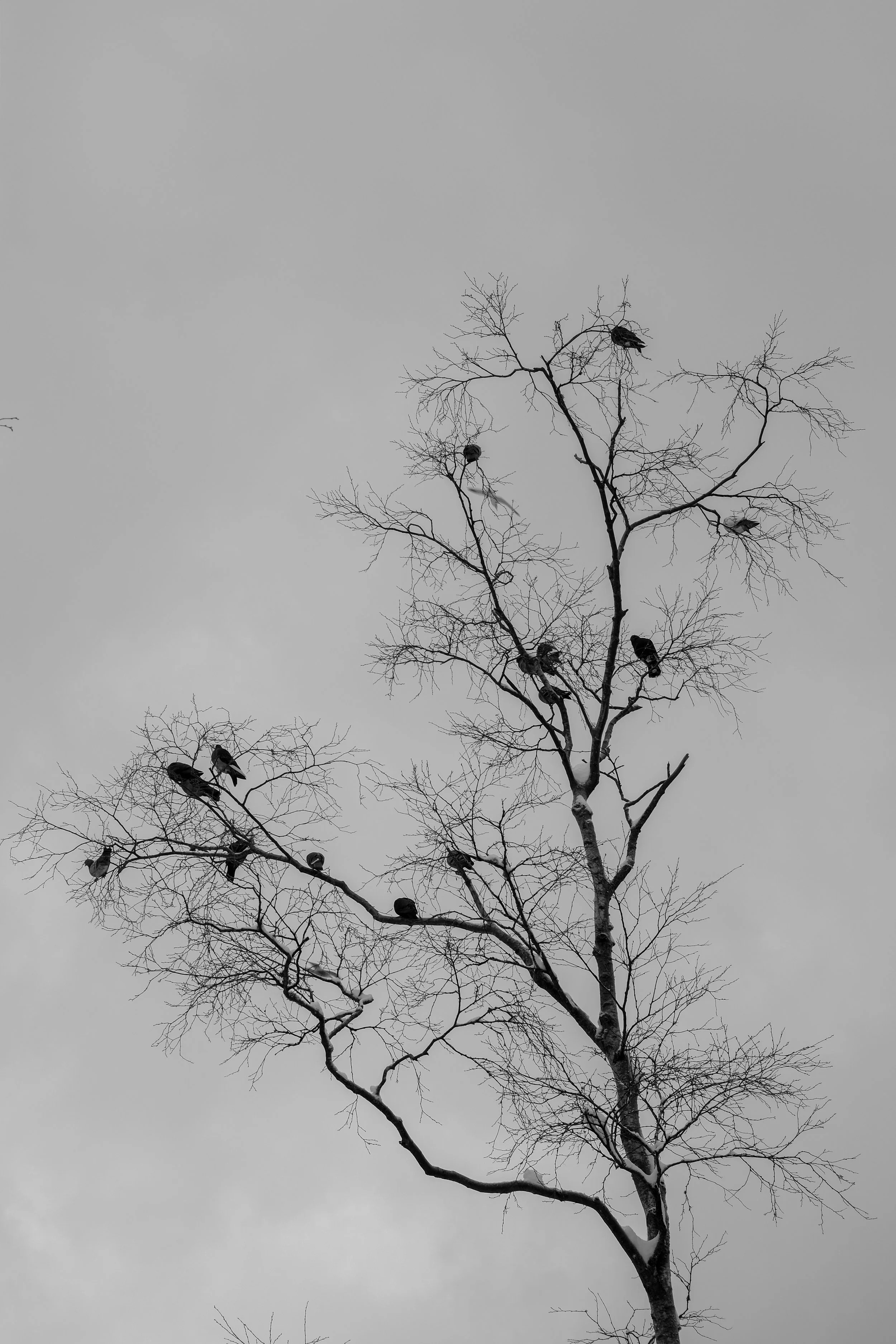 DSCF6589.jpg