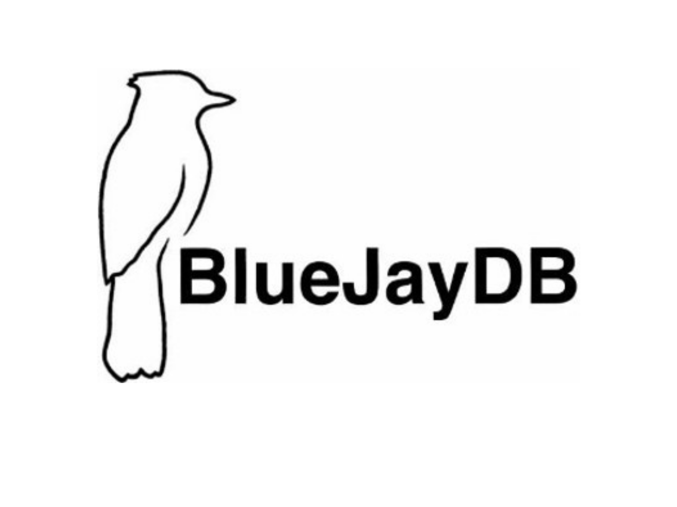 BlueJay.png