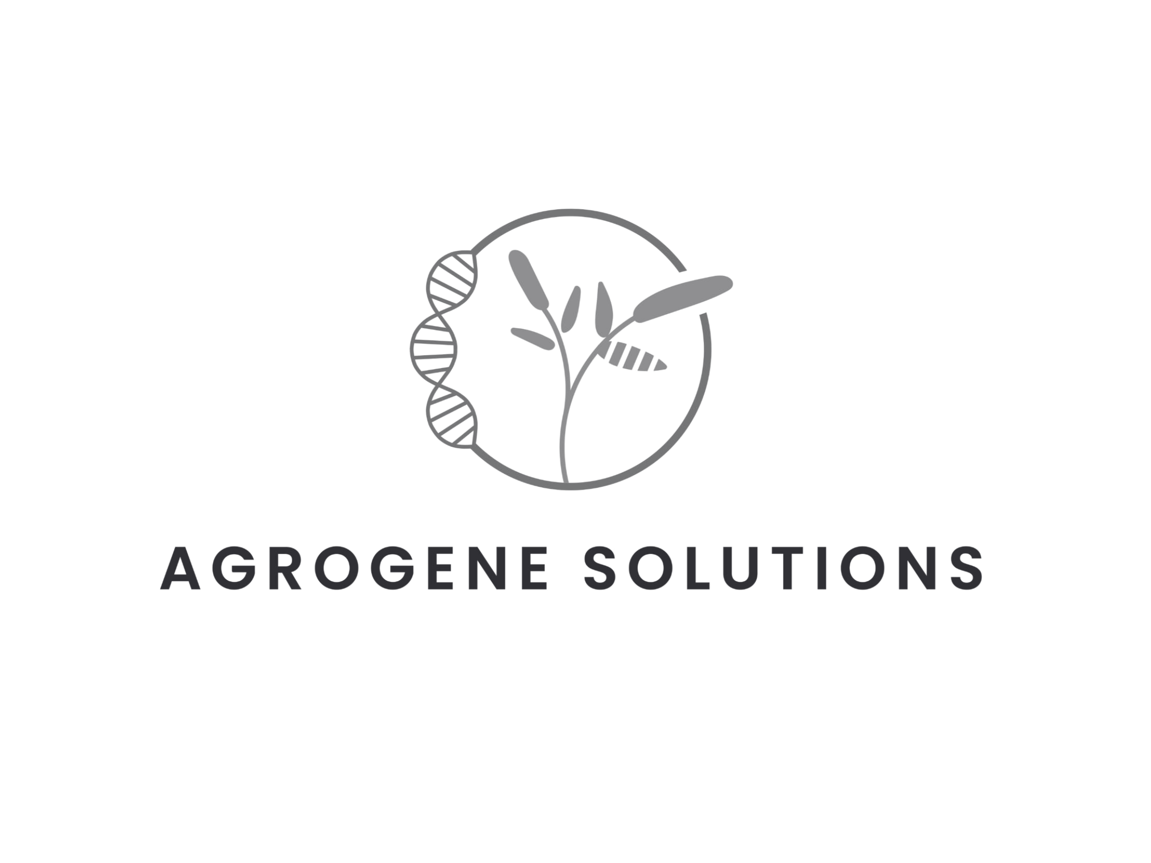 Logo (4).png