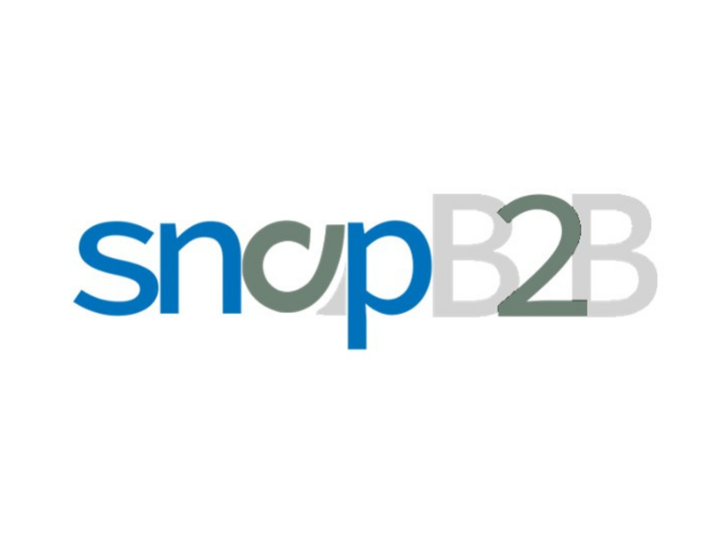 snapB2B.png