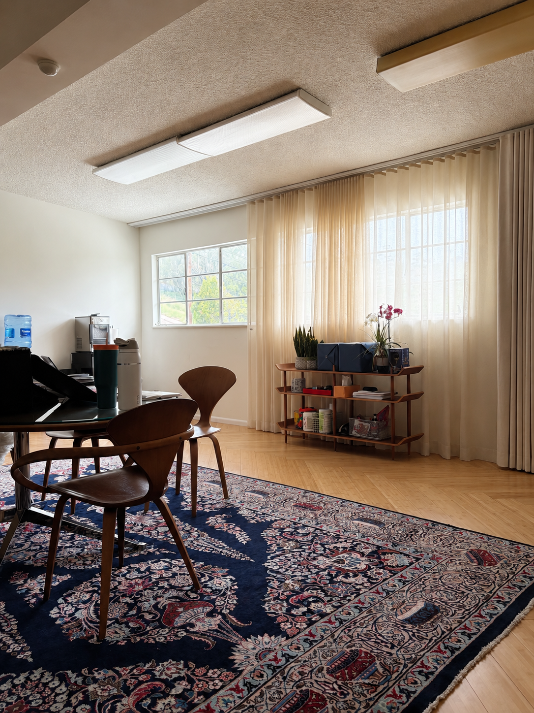A cozy living room with a large floral-patterned rug, wooden chairs around a table, a window and sliding glass door with sheer curtains, a bookshelf with plants and books, and ceiling lights.