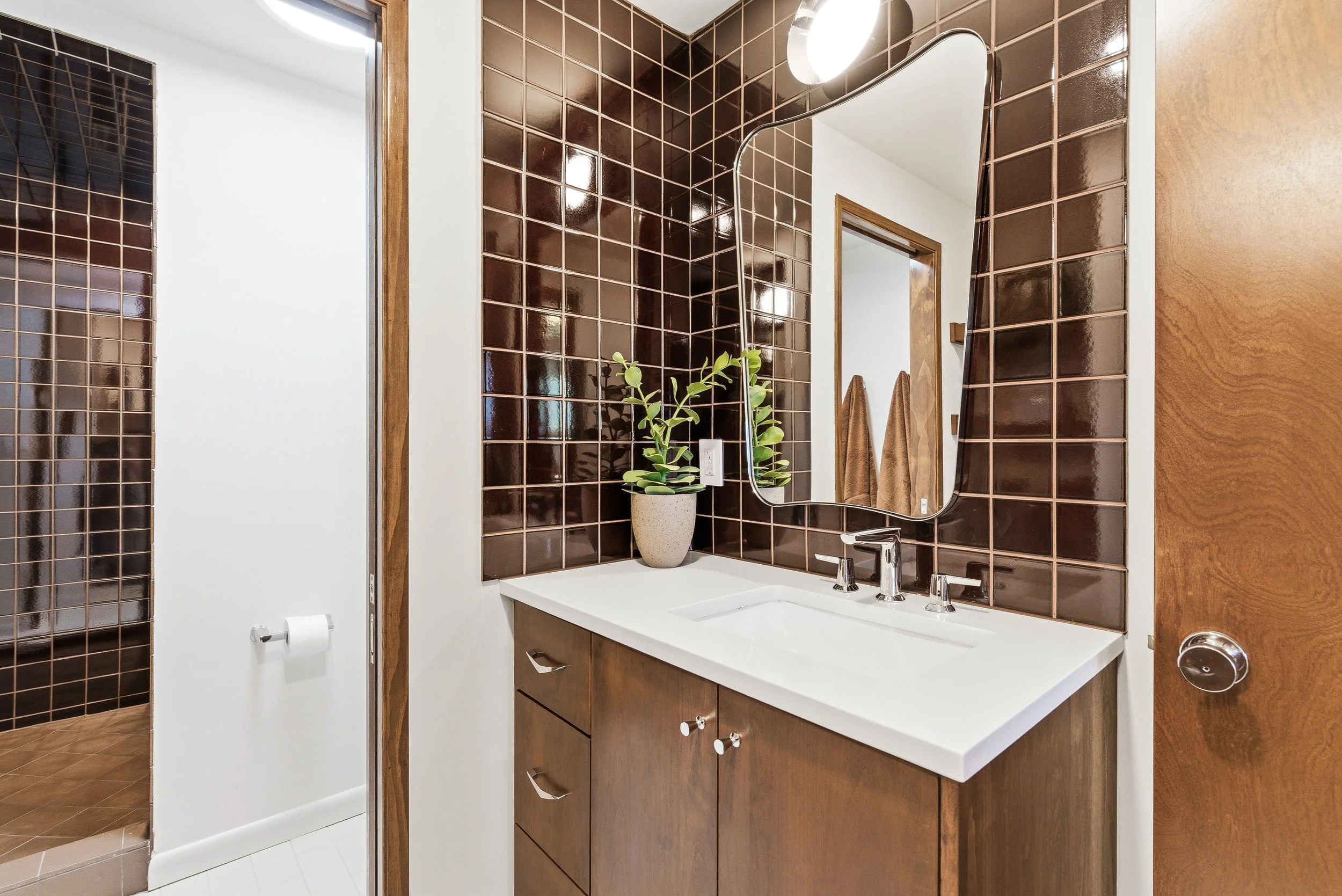 Bathroom with brown tiled walls around a white vanity with cabinet drawers, a mirror, and a small green plant. A brown towel hangs on a rack in the reflection, and a toilet paper roll is mounted on the white wall.