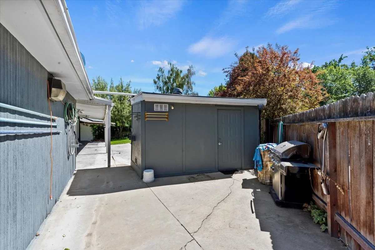 A backyard scene showing a gray shed, a wooden fence, a barbecue grill, and a small area with outdoor cleaning supplies, with trees and a blue sky in the background.