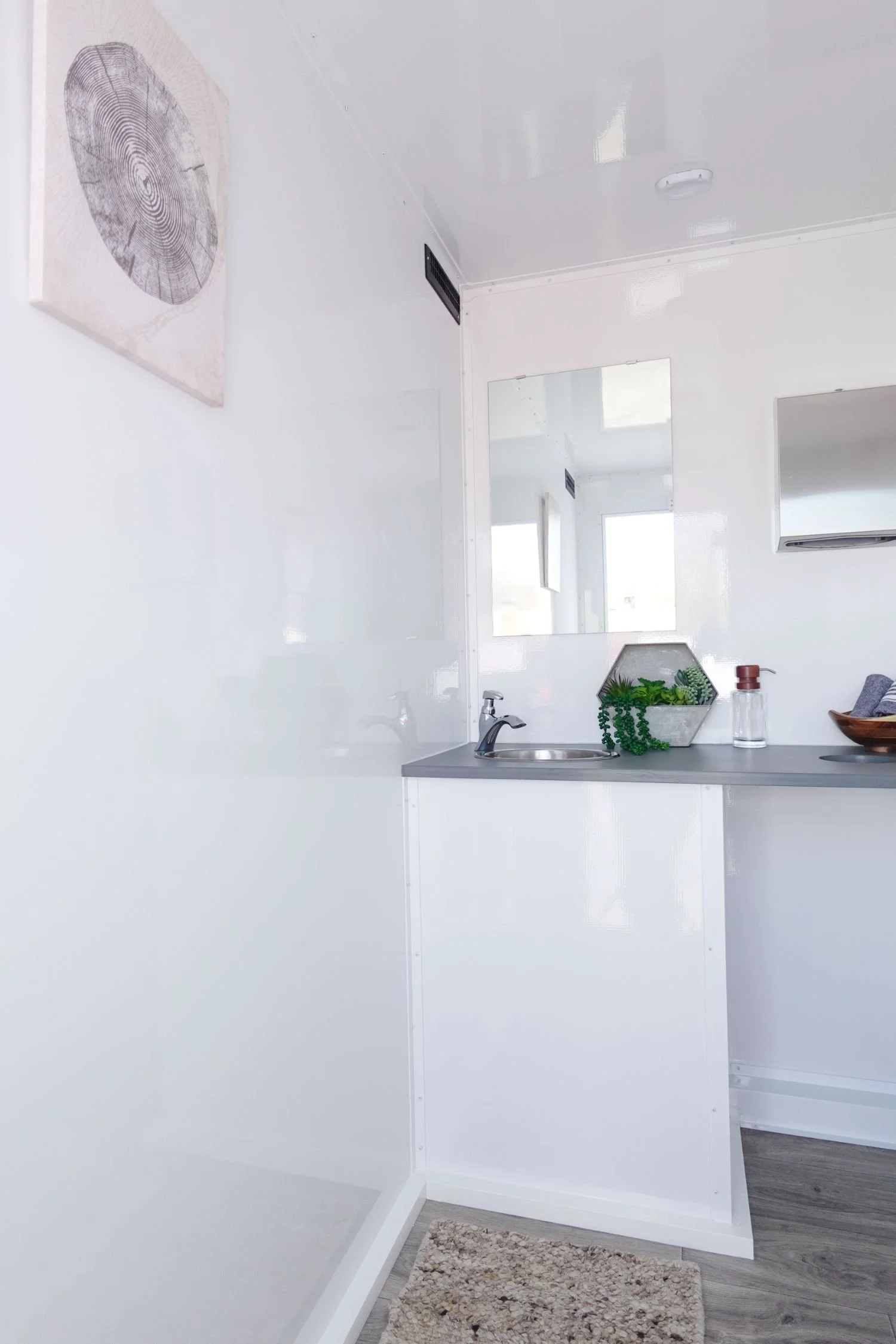 A minimalist kitchen area with a white wall, a small sink, a mirror, indoor plants in a container, a soap dispenser, and a textured rug on grey wood flooring.