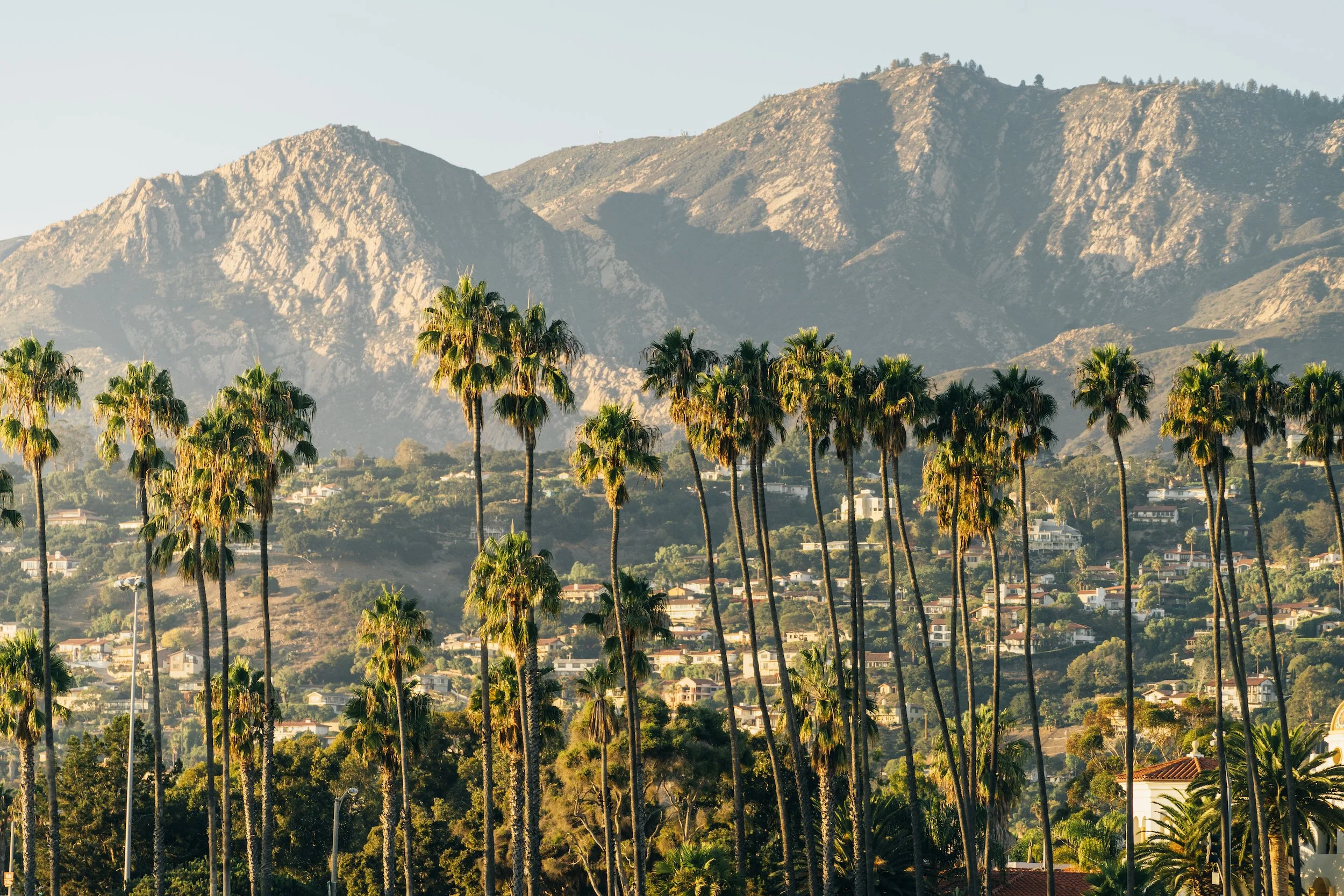 A scenic view of tall palm trees in the foreground with a hillside and mountain range in the background, and a clear sky.