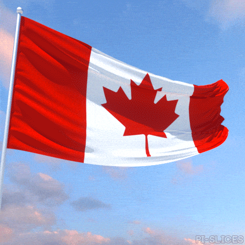 What Bill C-3 Taught Me About Being an Applicant