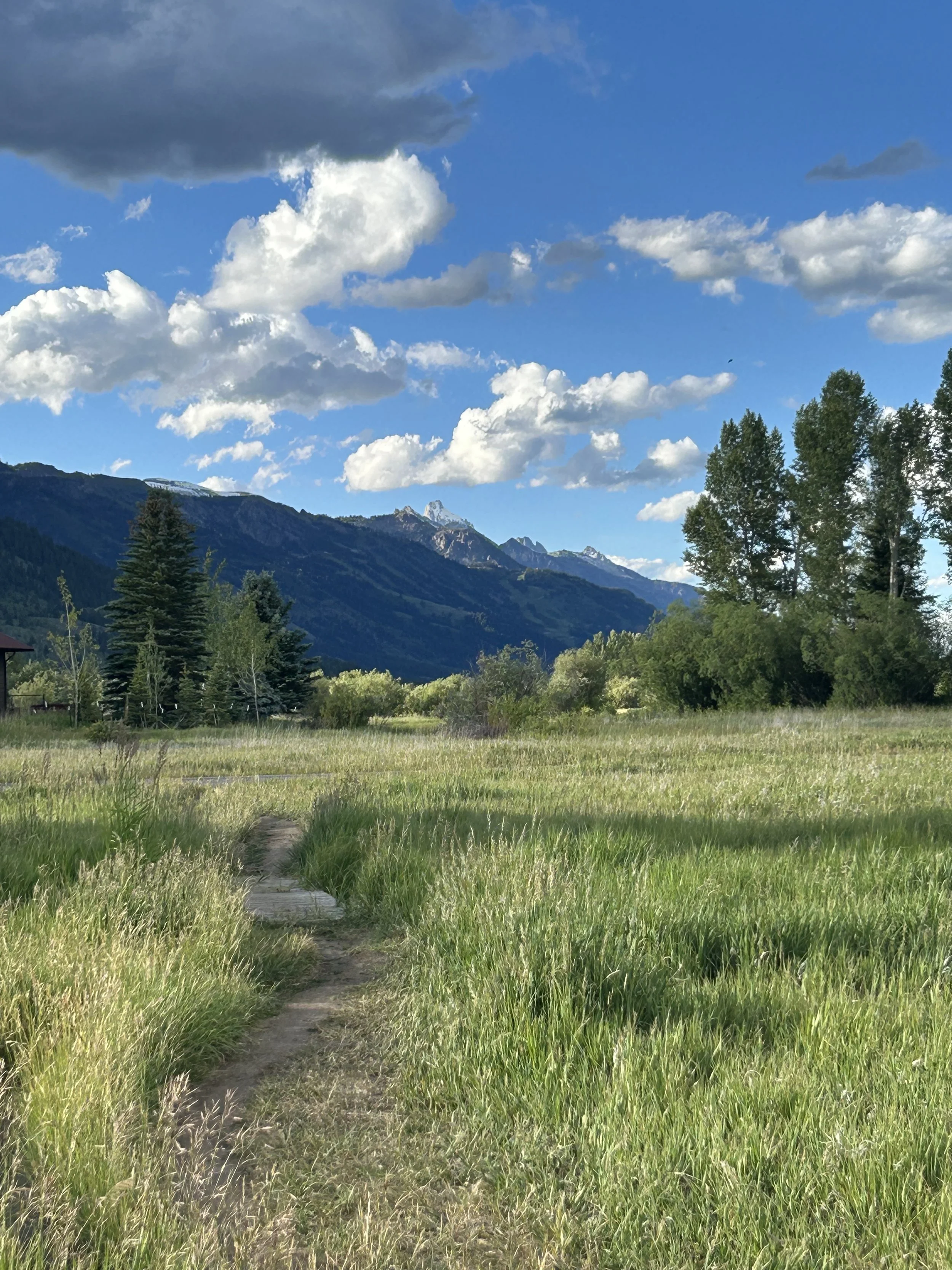Six Weeks In: Reflections on Building My Own Practice