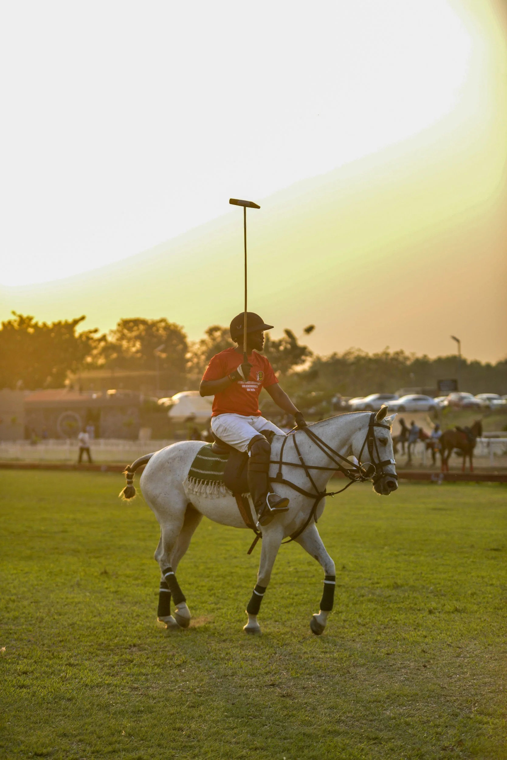 The P-1A Visa for Athletes Without a Standard Ranking System