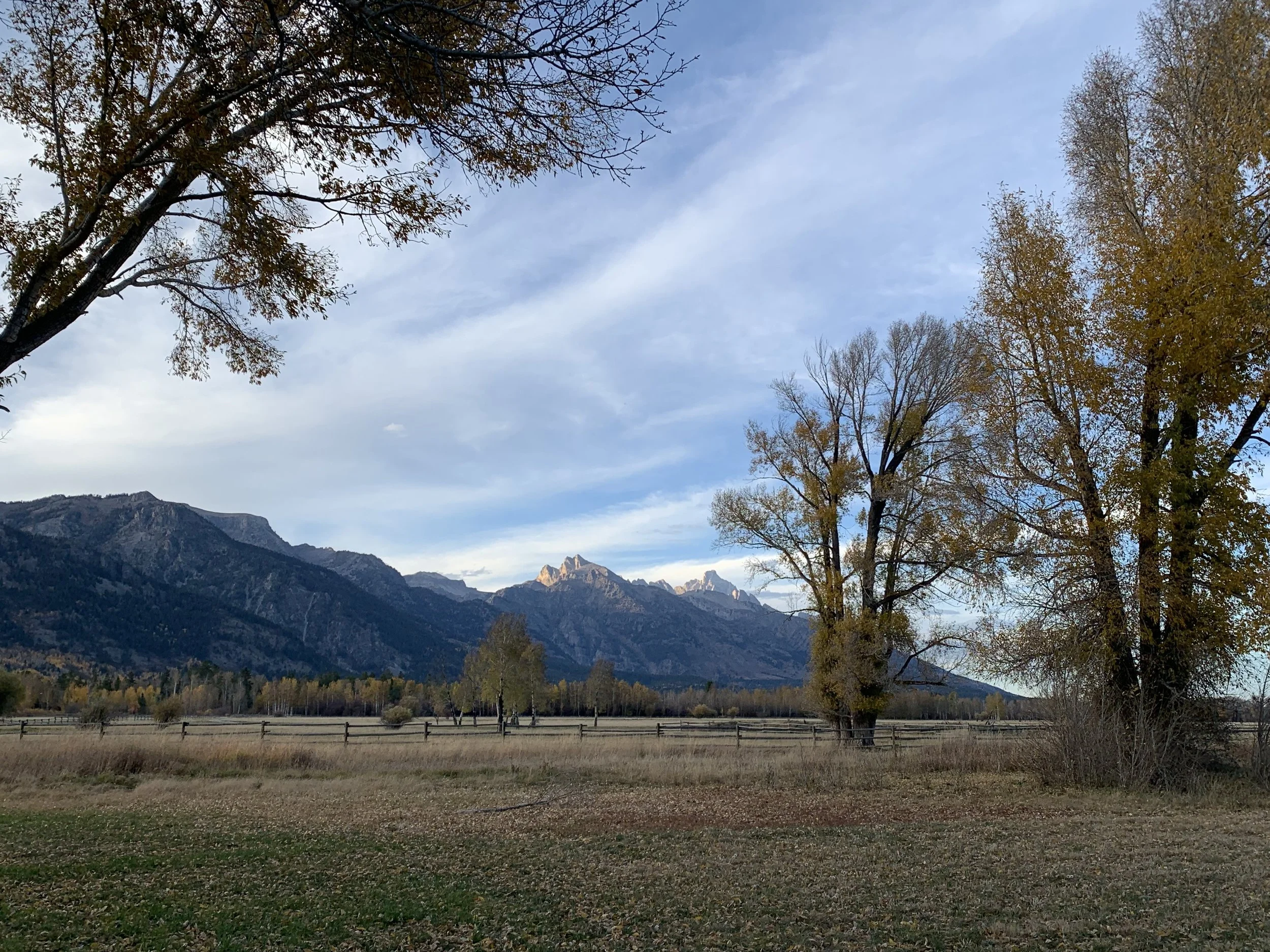 A scenic landscape with trees in the foreground, a fenced field, and mountains in the background under a partly cloudy sky.