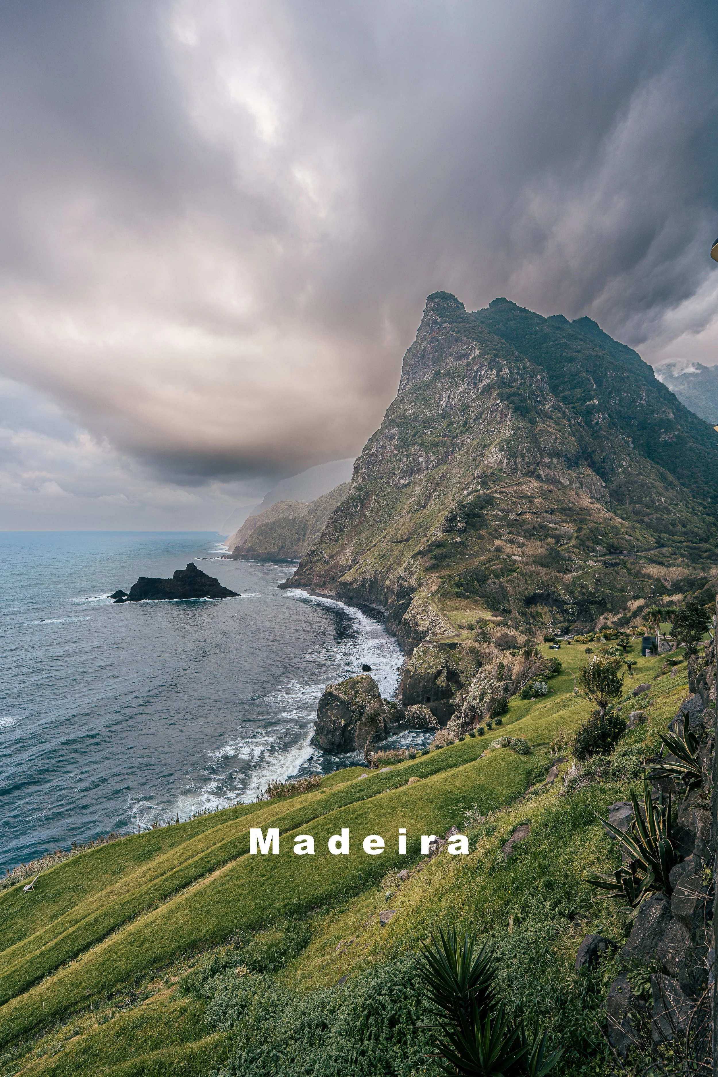 Klippen und grüne Hügel an der Küste von Madeira, mit dem Meer und einem bewölkten Himmel im Hintergrund, im Vordergrund Pflanzen und Vegetation.