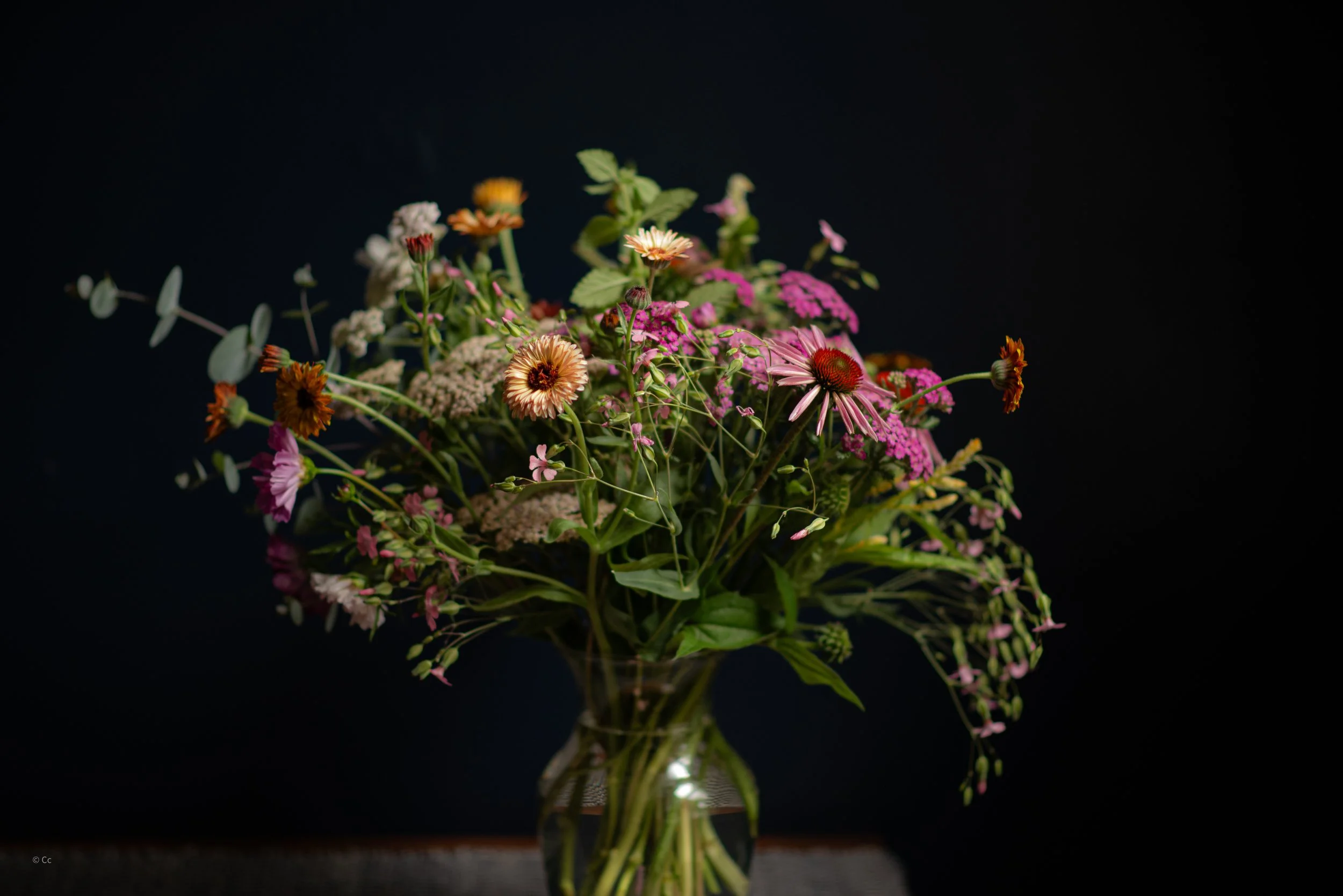 060126_InBloom_SmallB-40.jpg