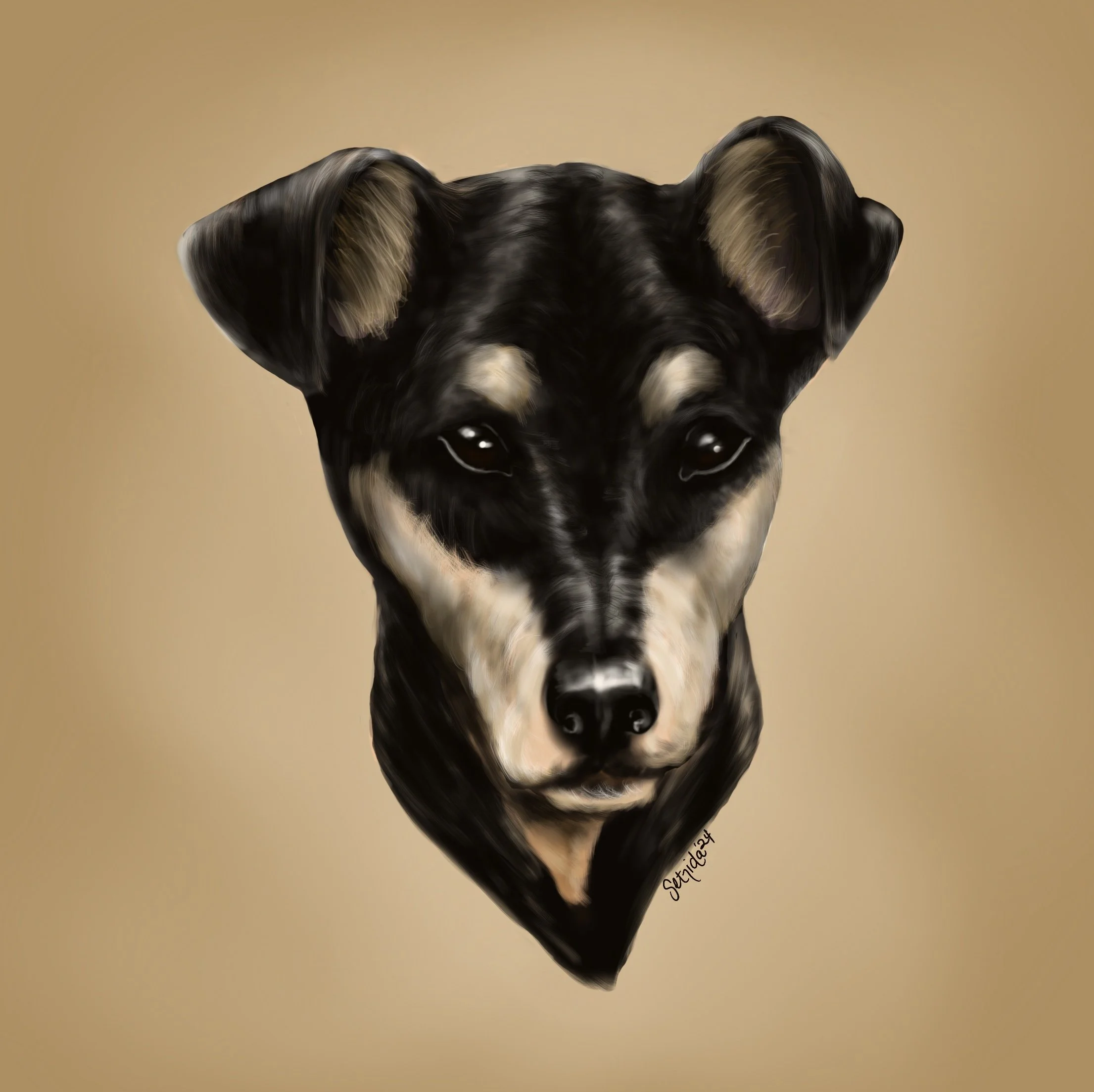 Pancho.jpg (Copy)