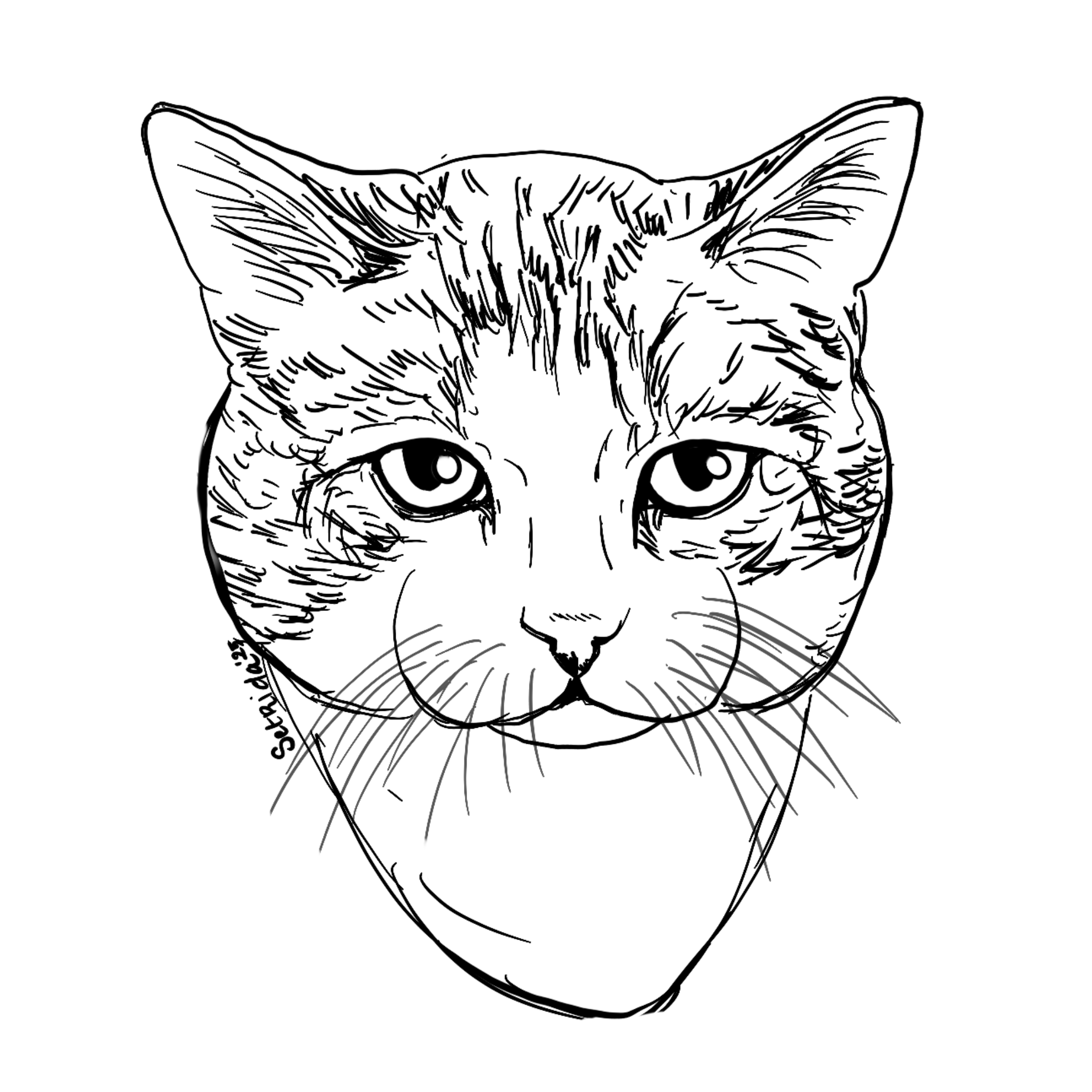 Untitled_Artwork (4).png