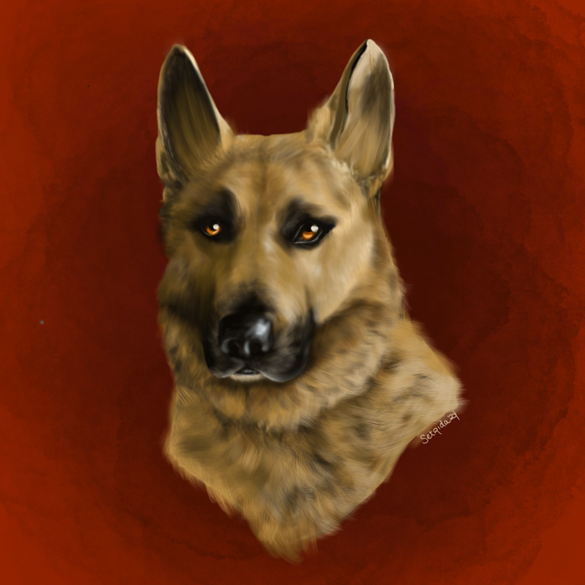 Full Digital Painting Pet Portrait