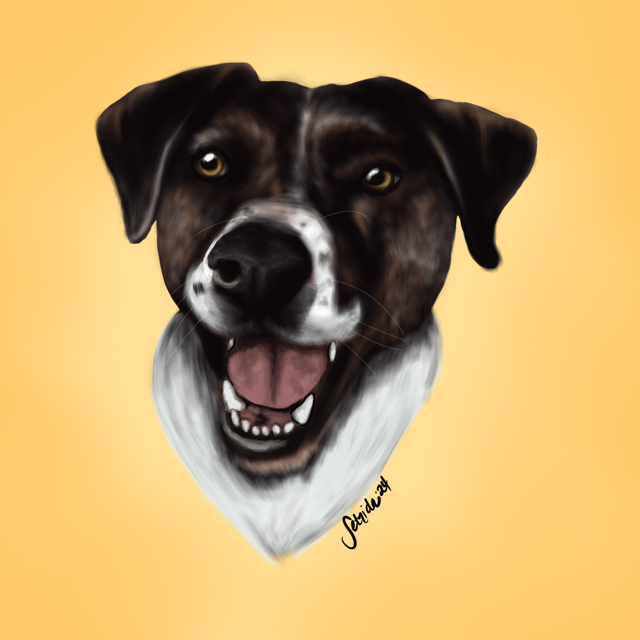 Milo (1).png (Copy)