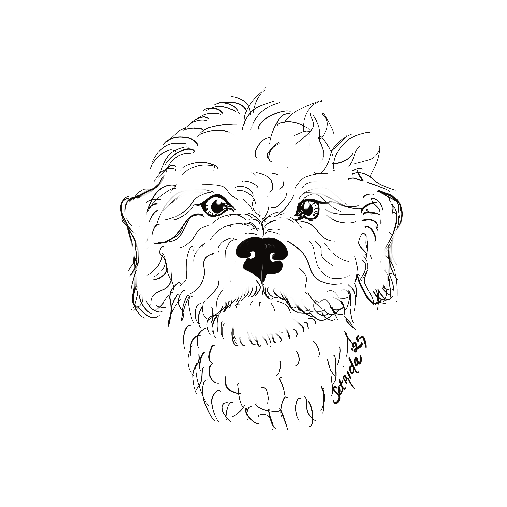 IMG_0121.PNG