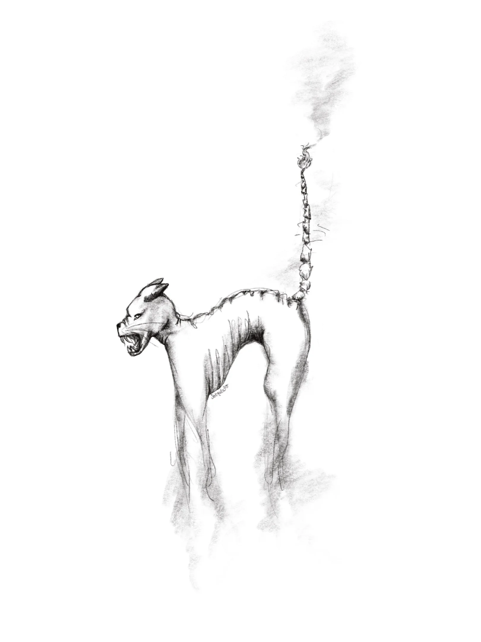 Untitled_Artwork.jpg