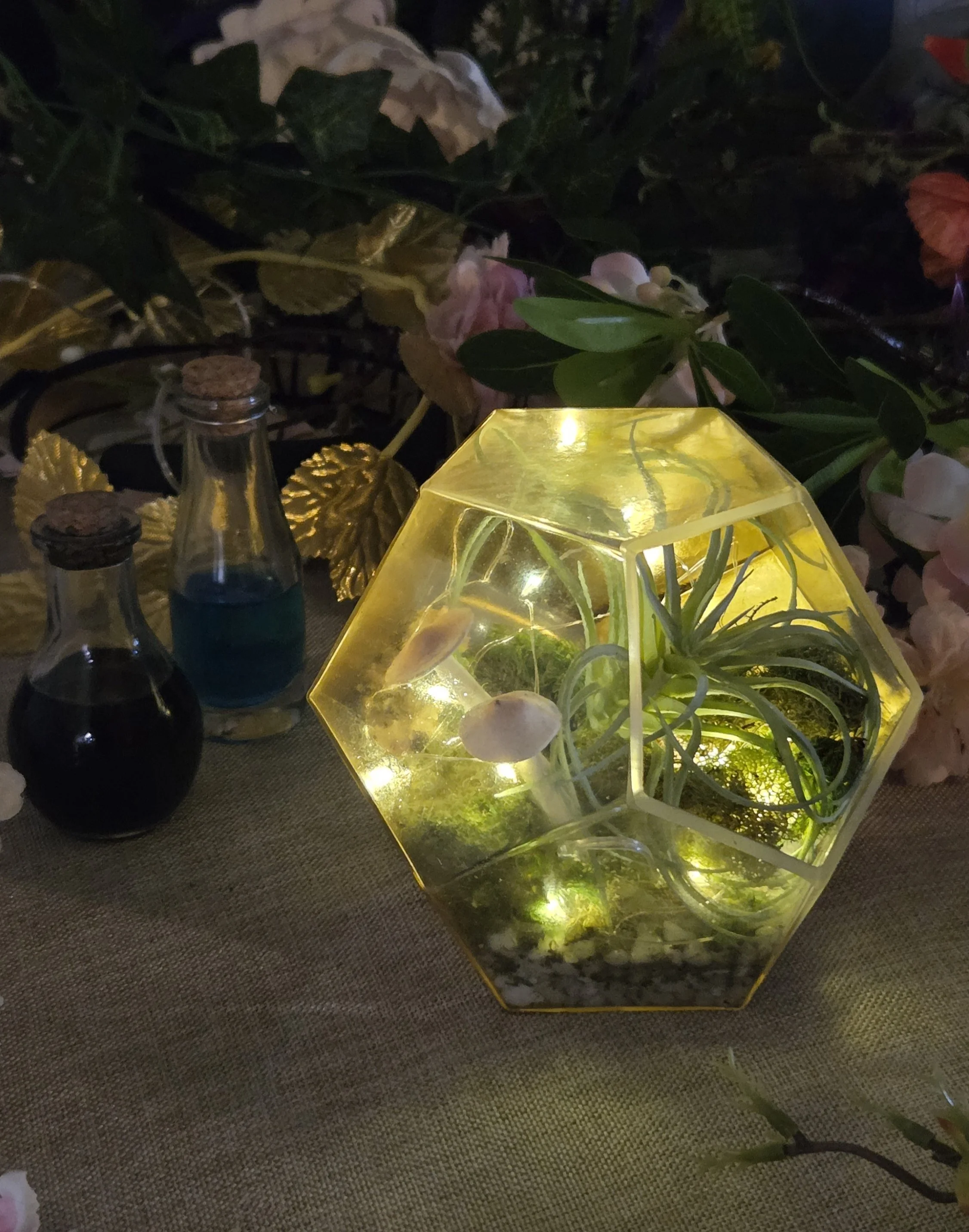 Magical Terrarium.jpg