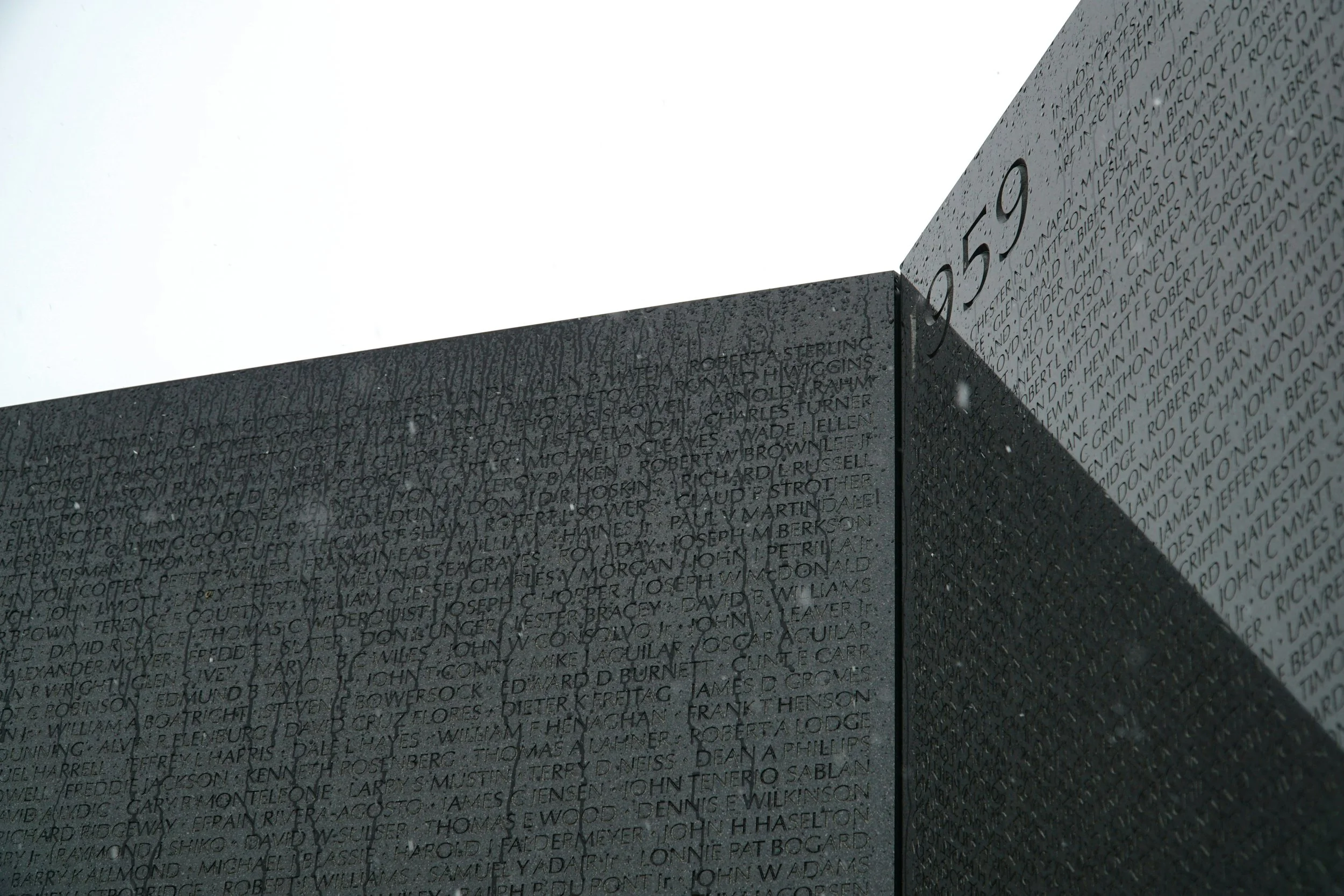 Panel 14