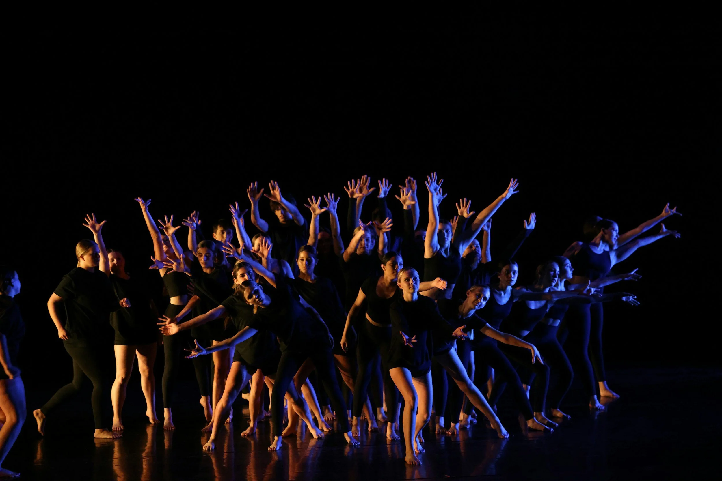 Group of dancers performing on stage with arms raised, wearing black costumes, illuminated by stage lights with a dark background.