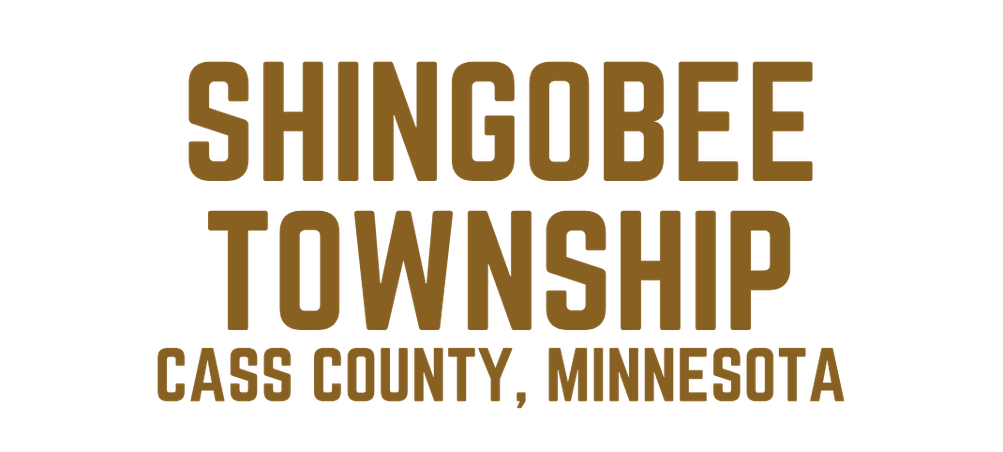 Shingobee Township