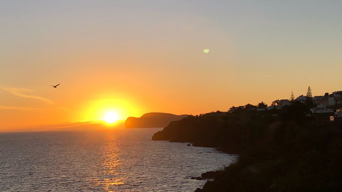 Sunset over the ocean with a bird flying, silhouetted cliffs, and houses on a hillside.