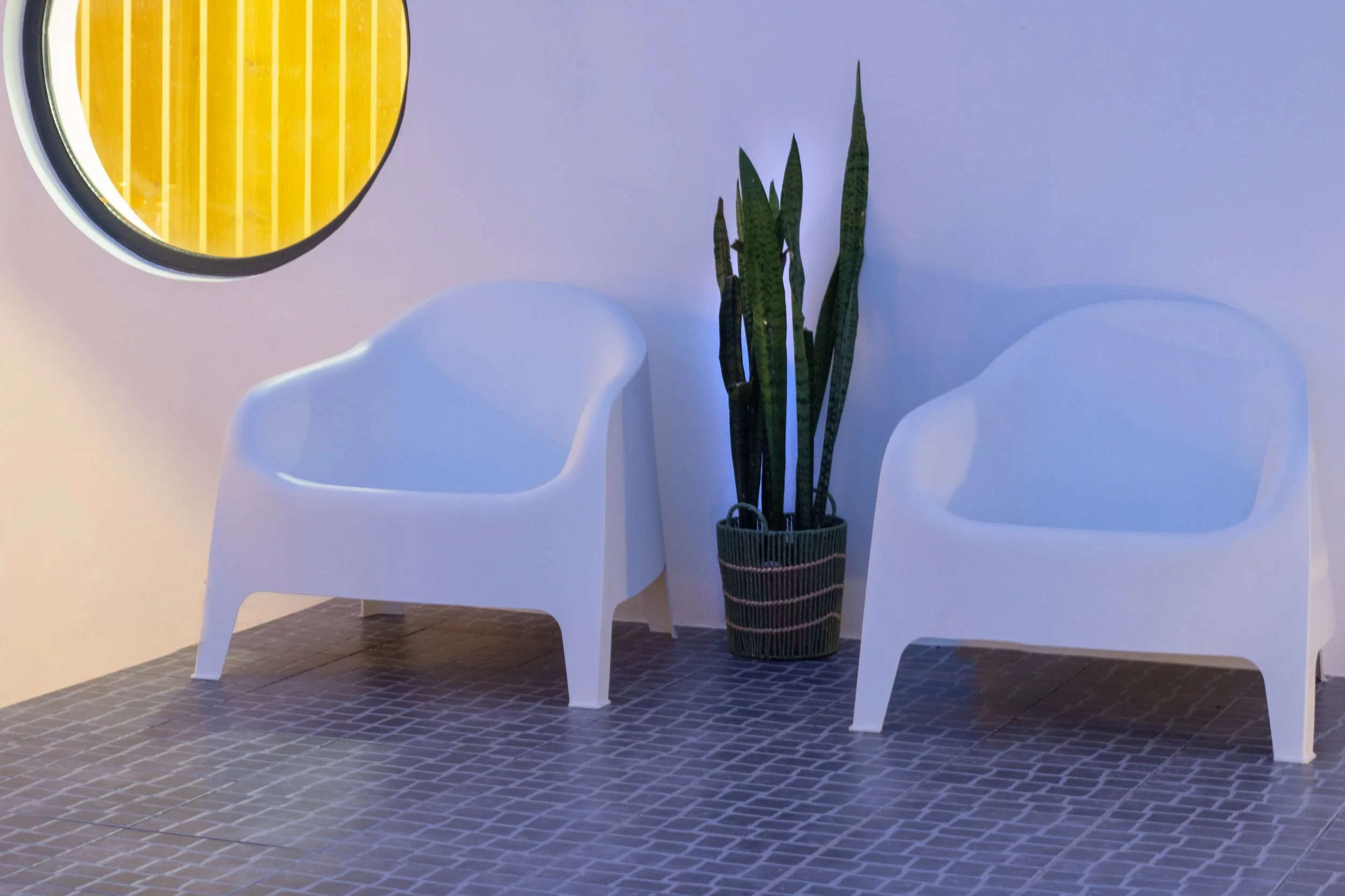 Two white modern chairs with curved backs and an oval-shaped cutout on the sides sit on a red brick floor. Between them is a tall potted snake plant with long, green leaves. The background has a plain white wall with colorful lighting that gives it a