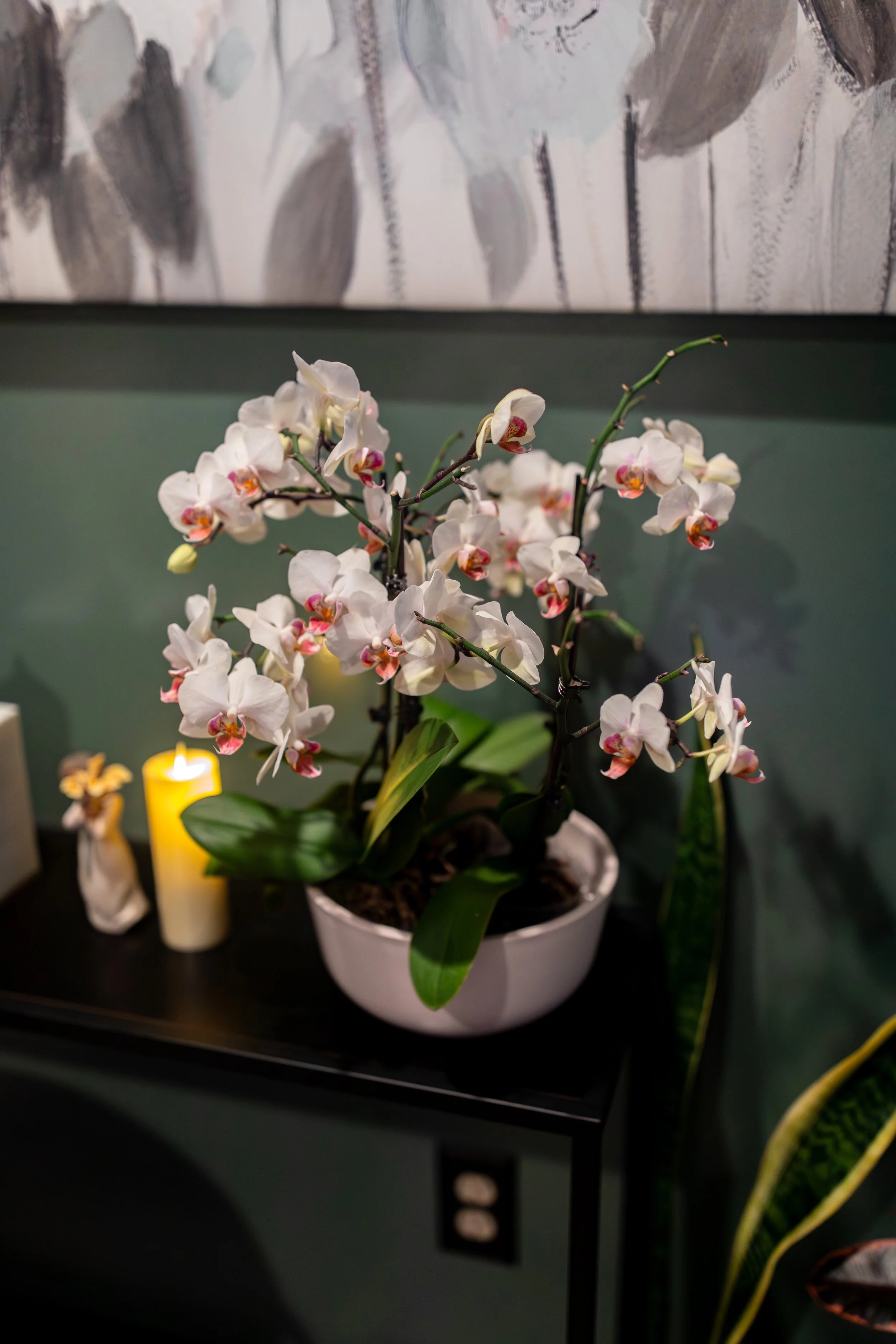 Orchid plant with white flowers and pink centers in a white pot, set on a black shelf against a dark green wall. There are candles and decorative items nearby.