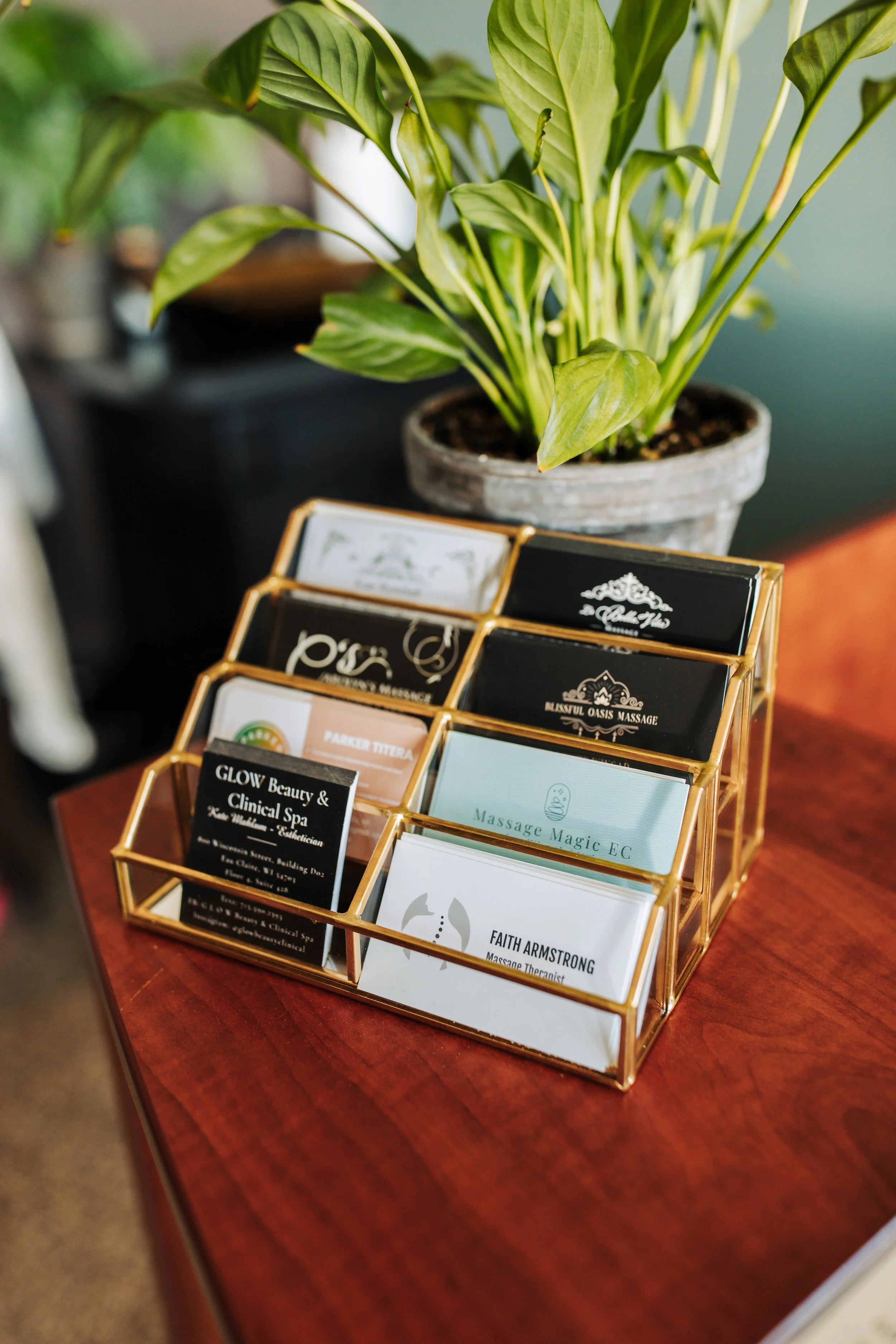 A potted plant with green variegated leaves is on a wooden table next to a gold wire brochure holder filled with various brochures or business cards.