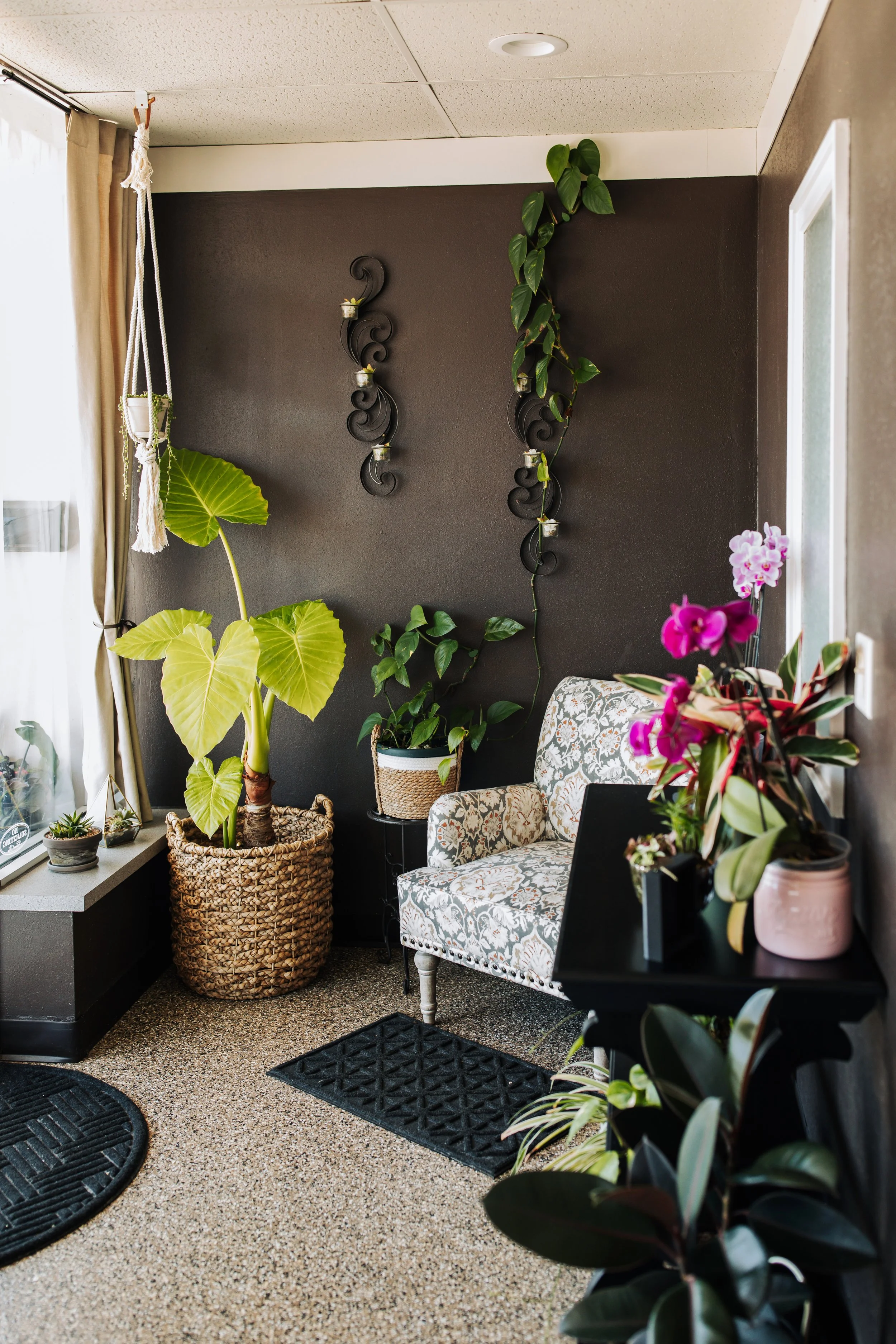 Cozy indoor space with potted plants, a patterned armchair, and wall decorations, featuring a brown accent wall and a window with curtains.