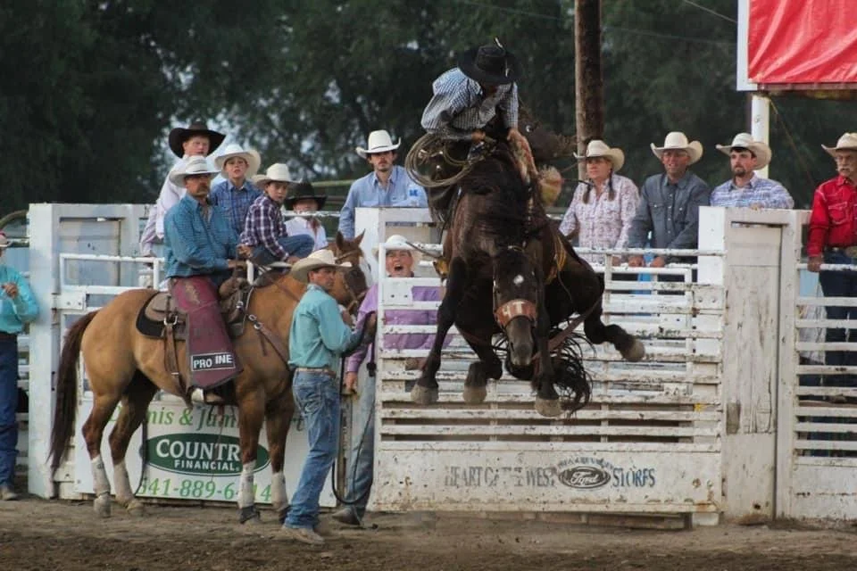 Vale Rodeo Bronc Rider.JPG