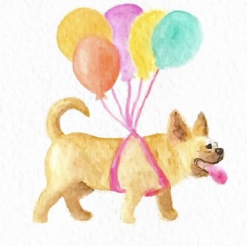 Pet portraits