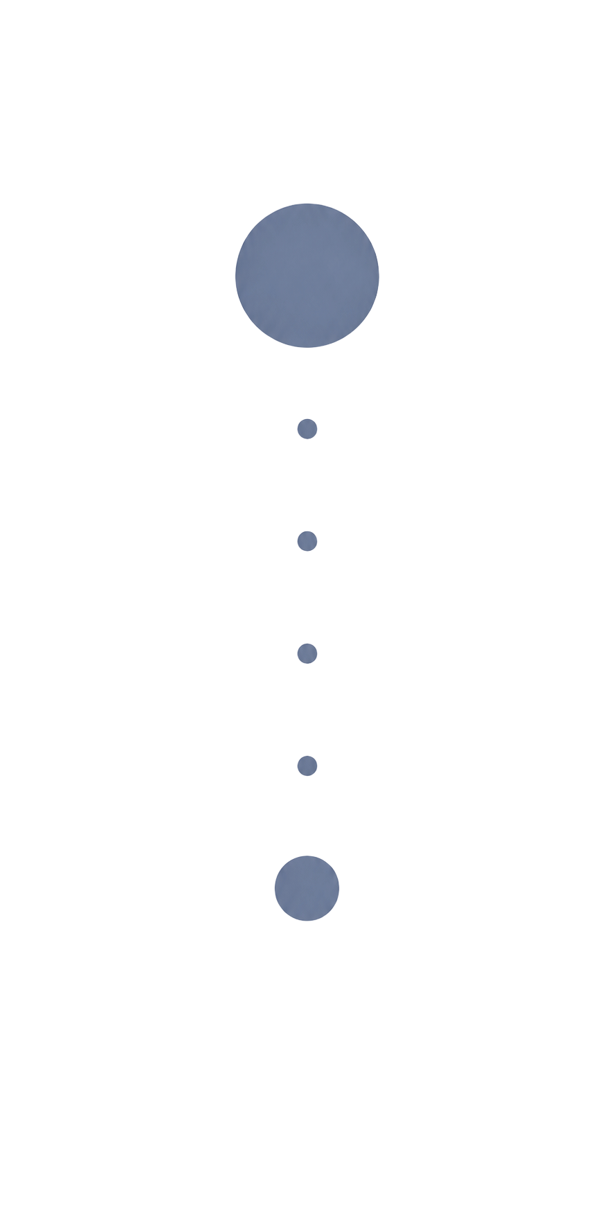 An Icon depicting six dots aligned vertically with the first dot as the largest followed by four small dots and the final dot middle size.