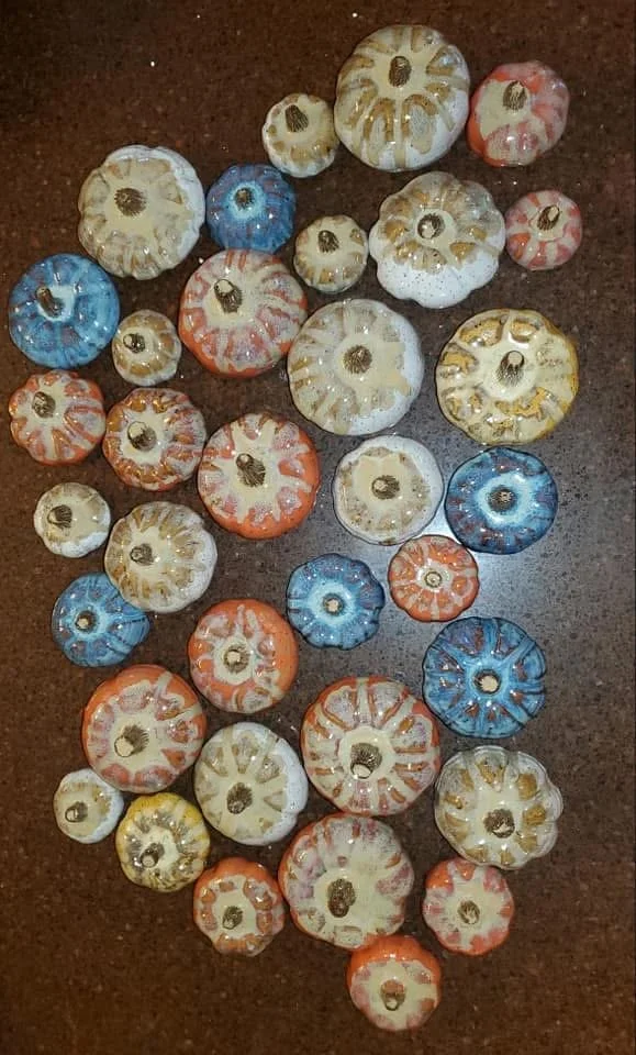 1000060323.jpg
