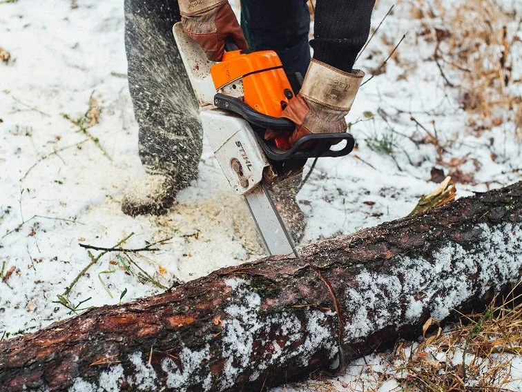 A person using a chainsaw to cut through a fallen tree in a snow-covered outdoor area.
