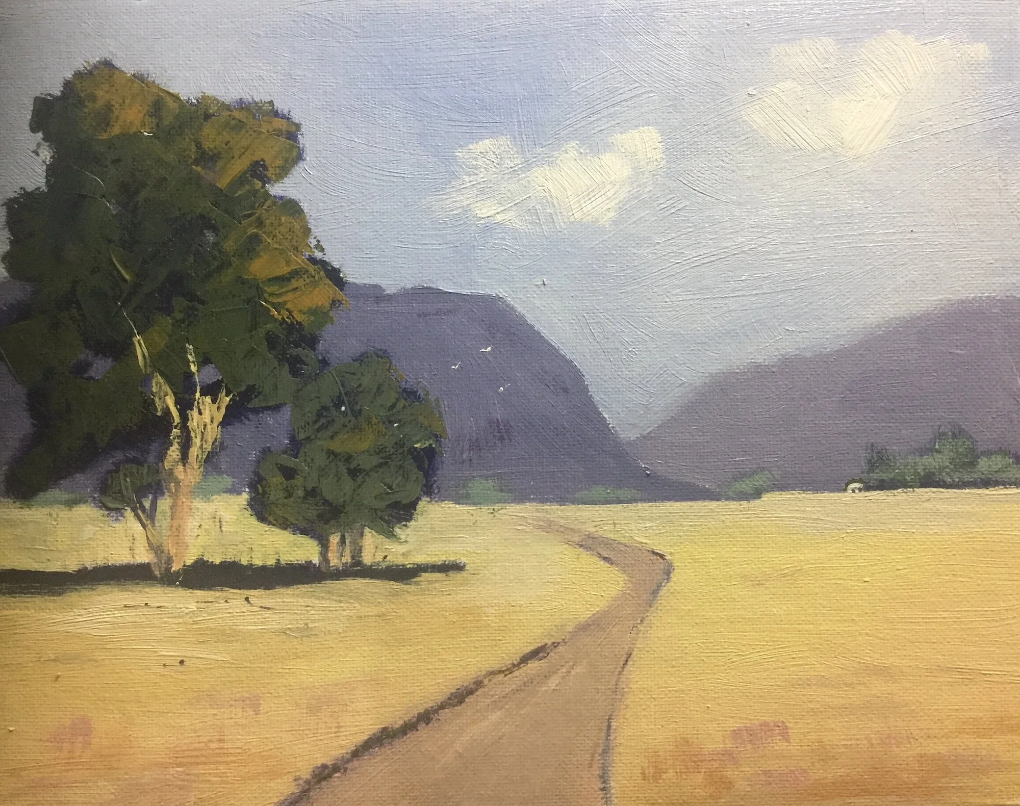 Landscape 23