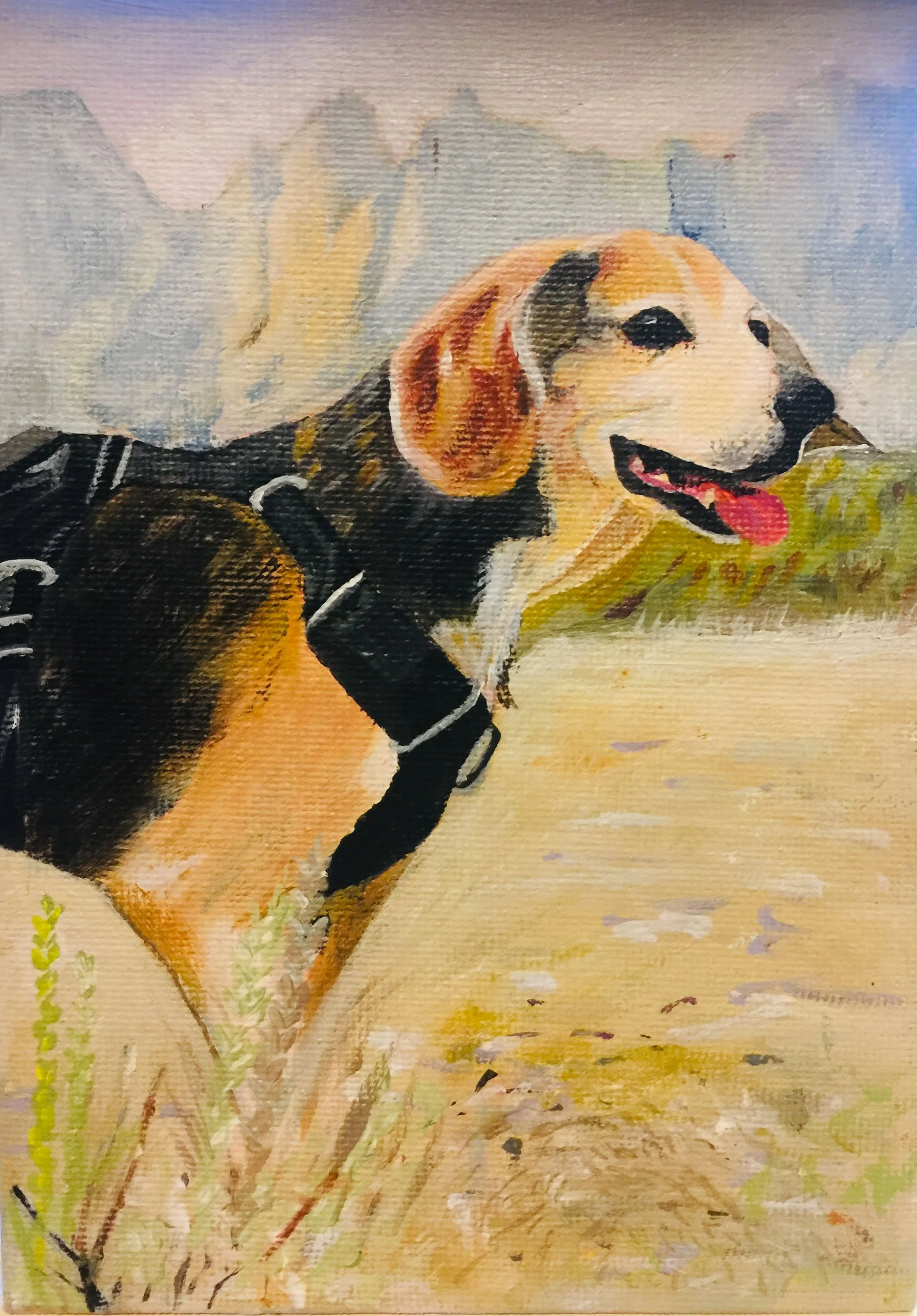 Dani