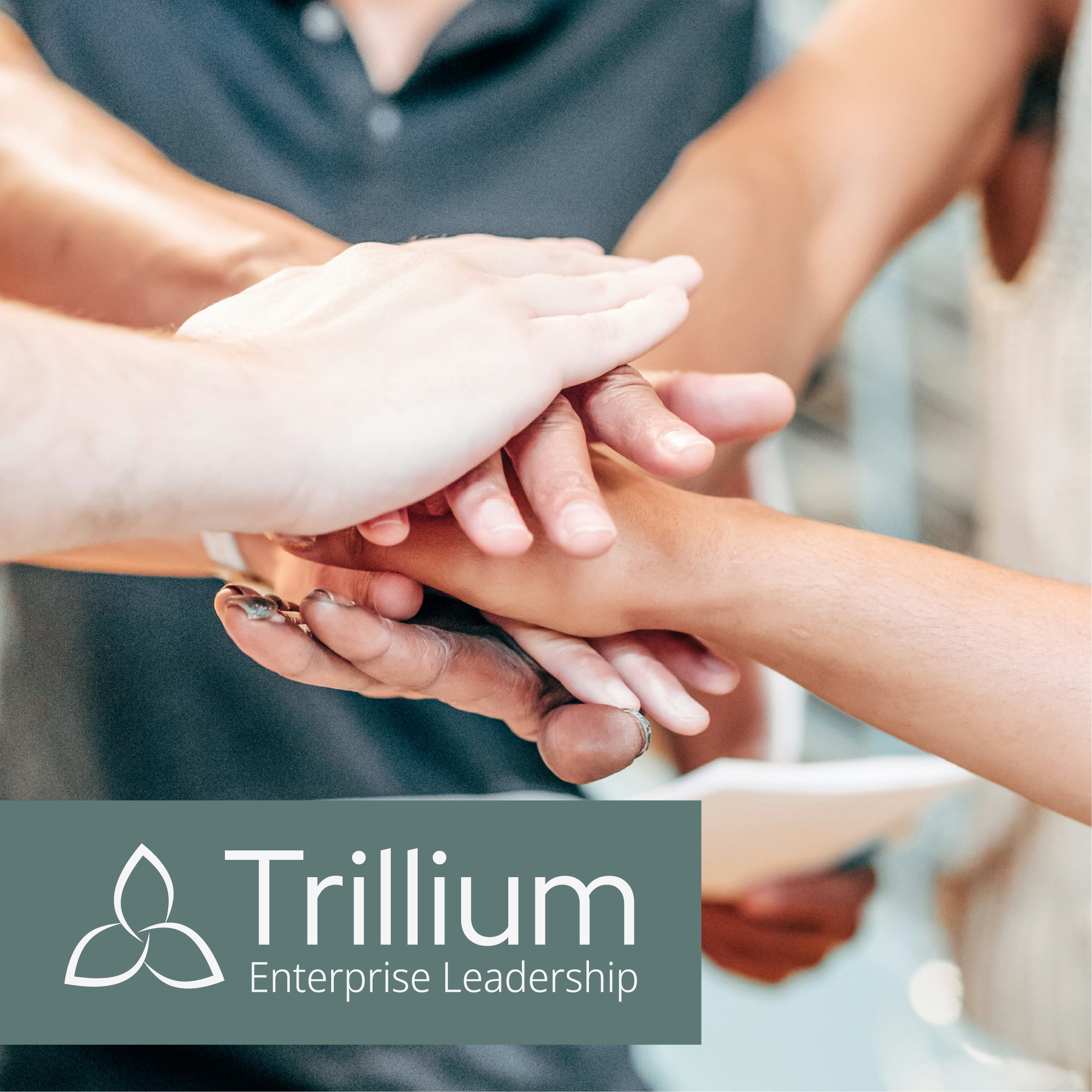 The Power of Trust‑Filled Teams
